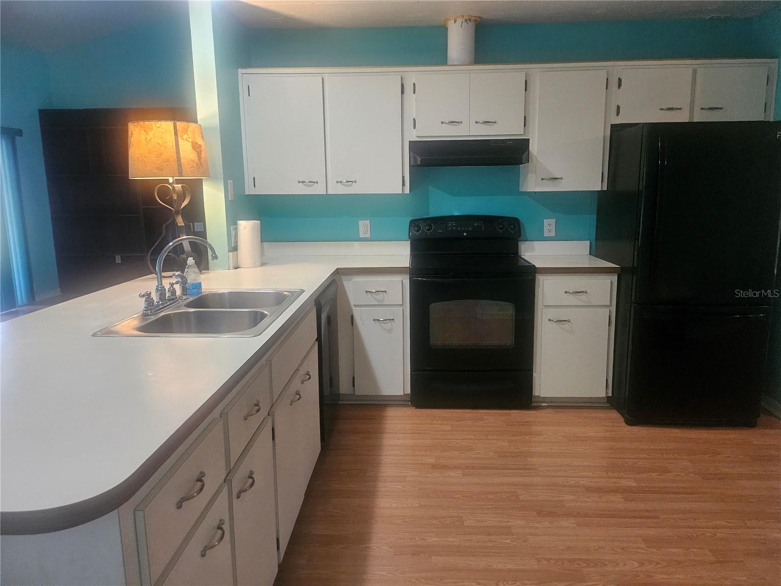 650 W DIAMONDBIRD LOOP #650, HERNANDO, FL, 34442