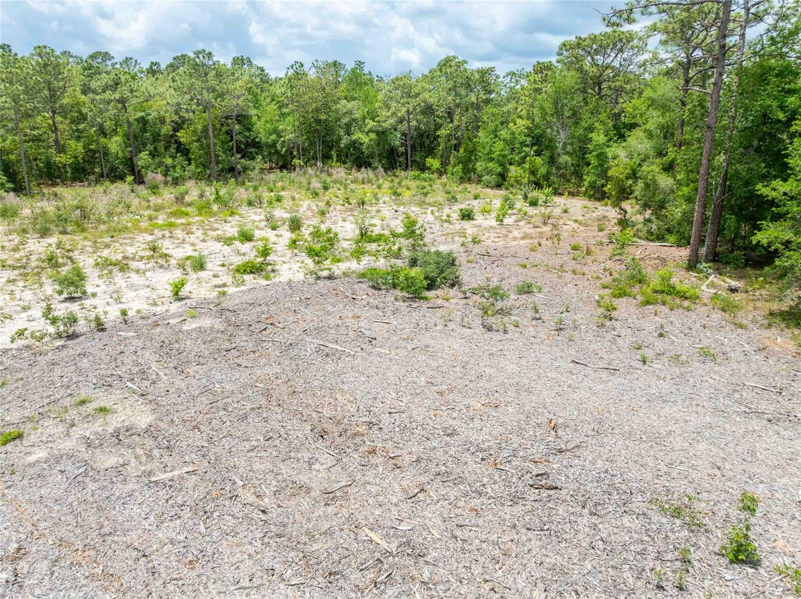15022 GAR ST, SPRING HILL, FL, 34609