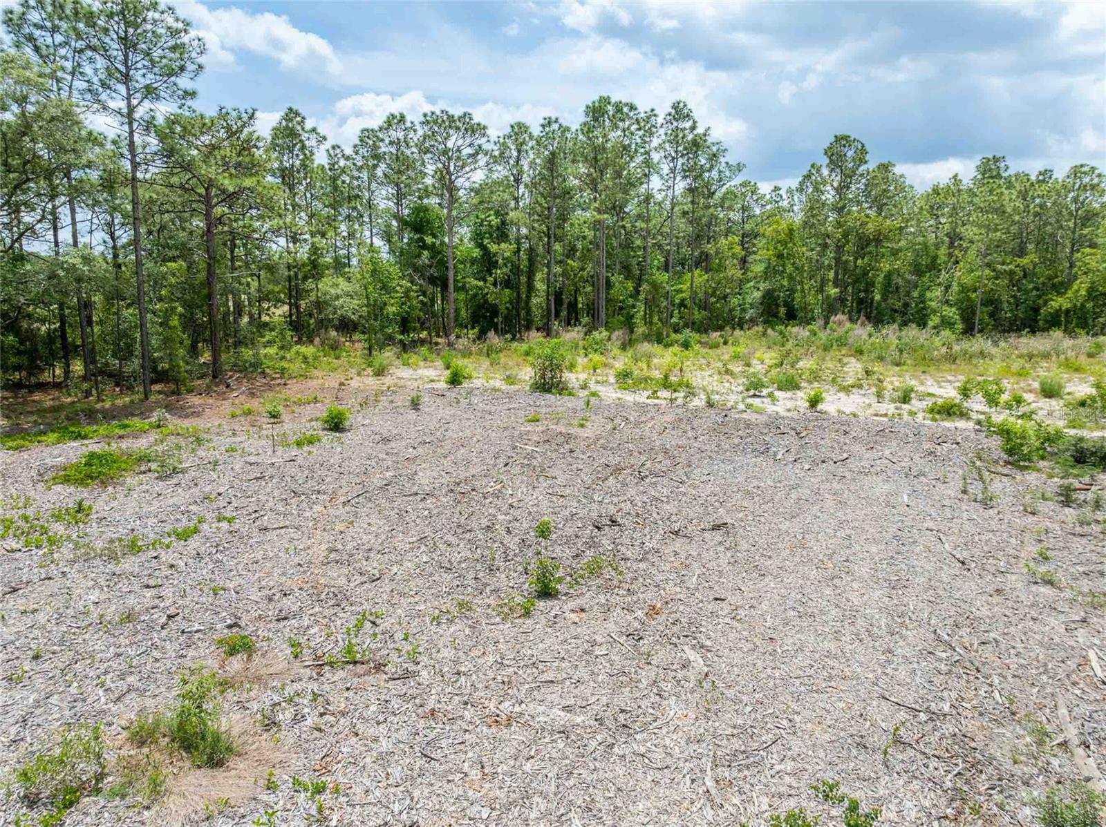 15022 GAR ST, SPRING HILL, FL, 34609