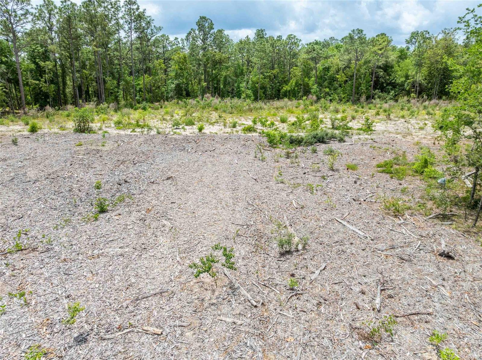 15022 GAR ST, SPRING HILL, FL, 34609