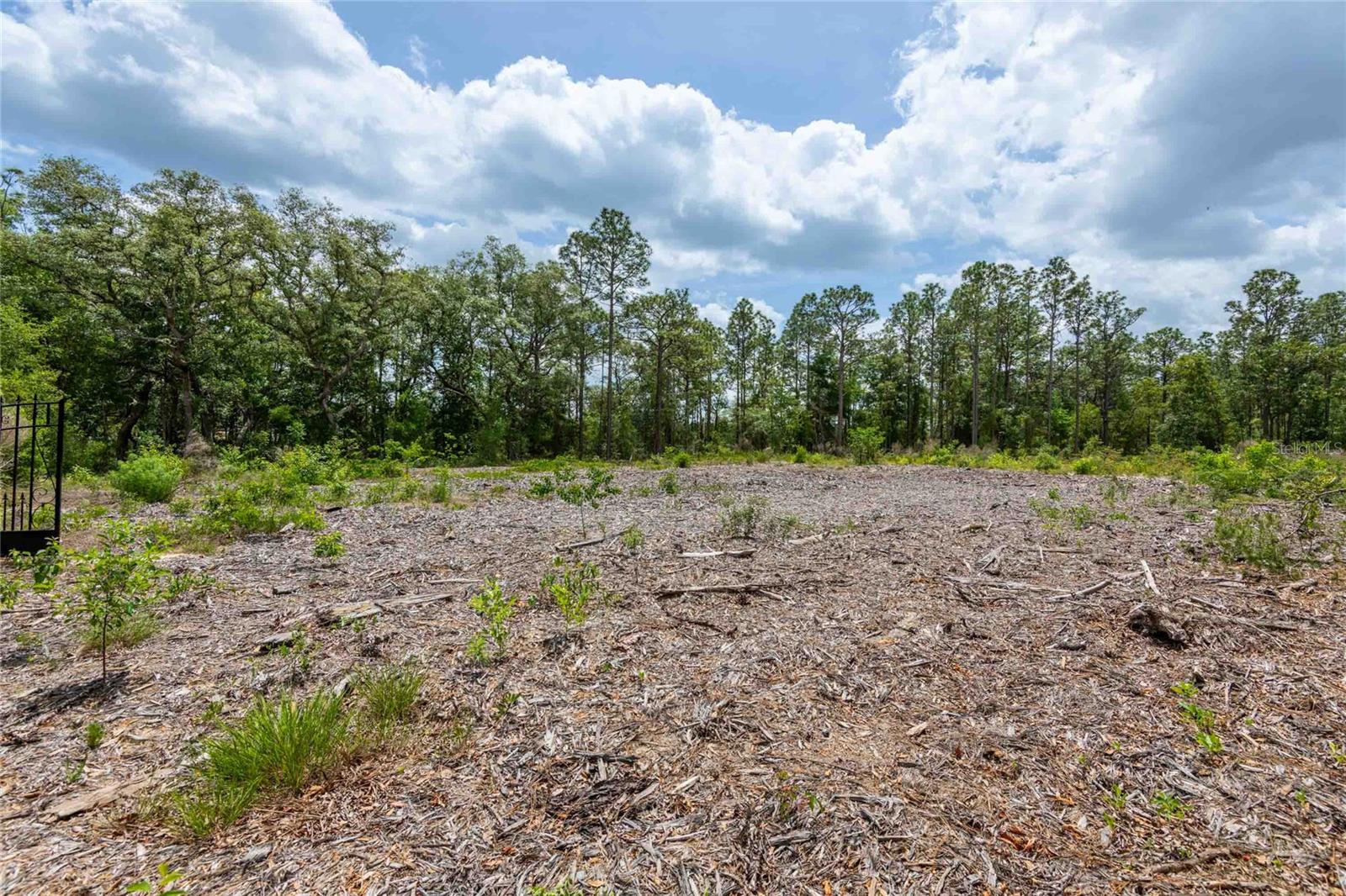 15022 GAR ST, SPRING HILL, FL, 34609