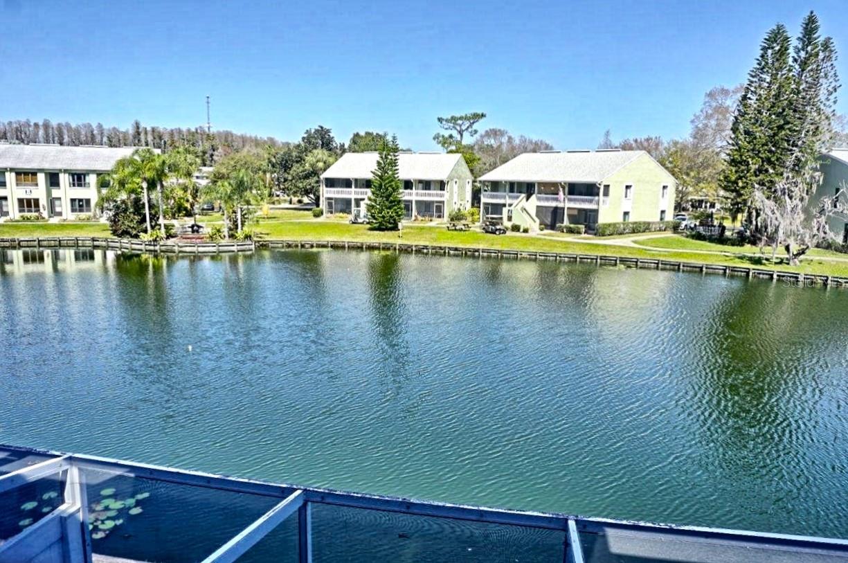1873 MAZO MNR #5, LUTZ, FL, 33558