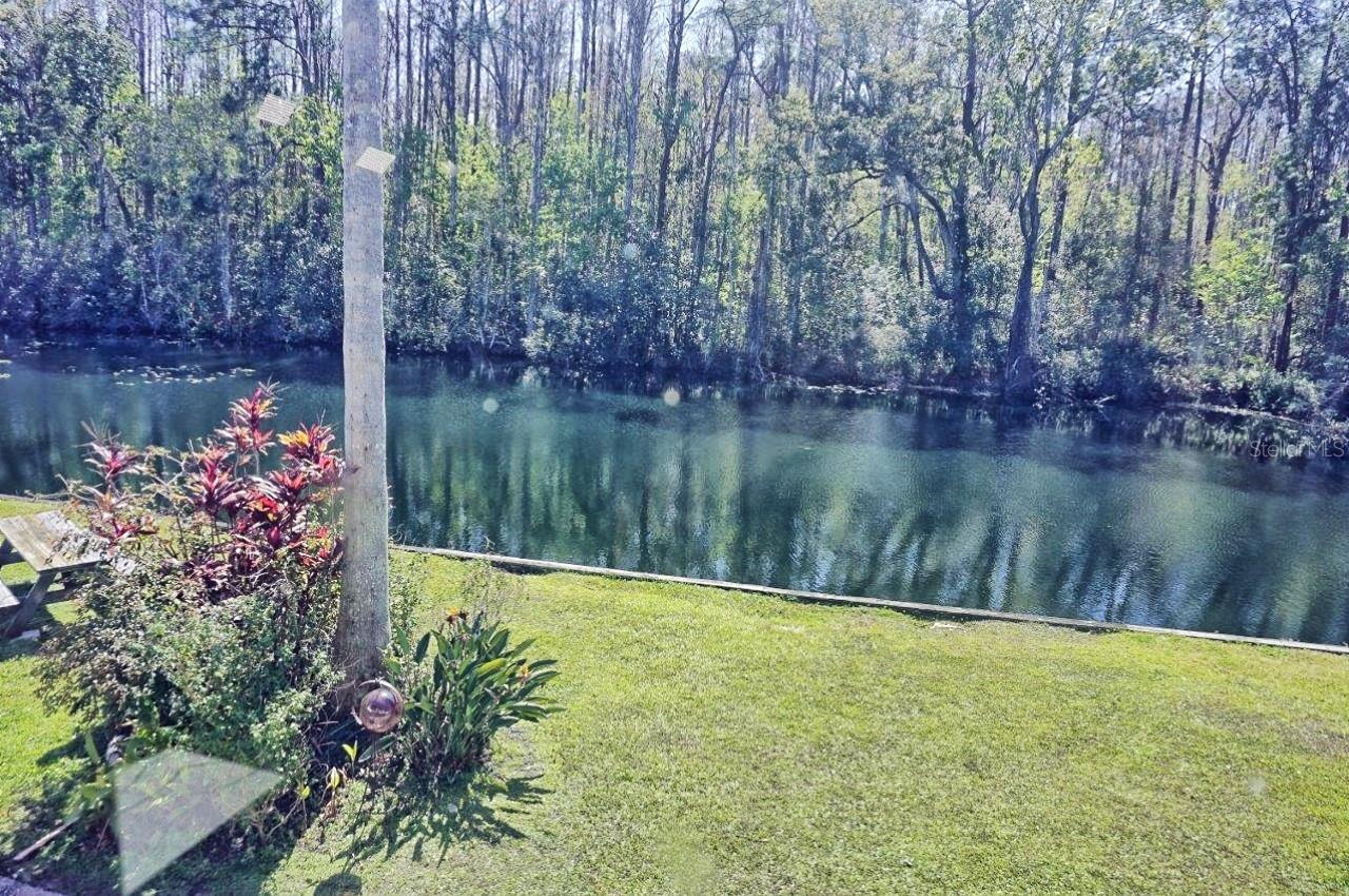 1873 MAZO MNR #5, LUTZ, FL, 33558