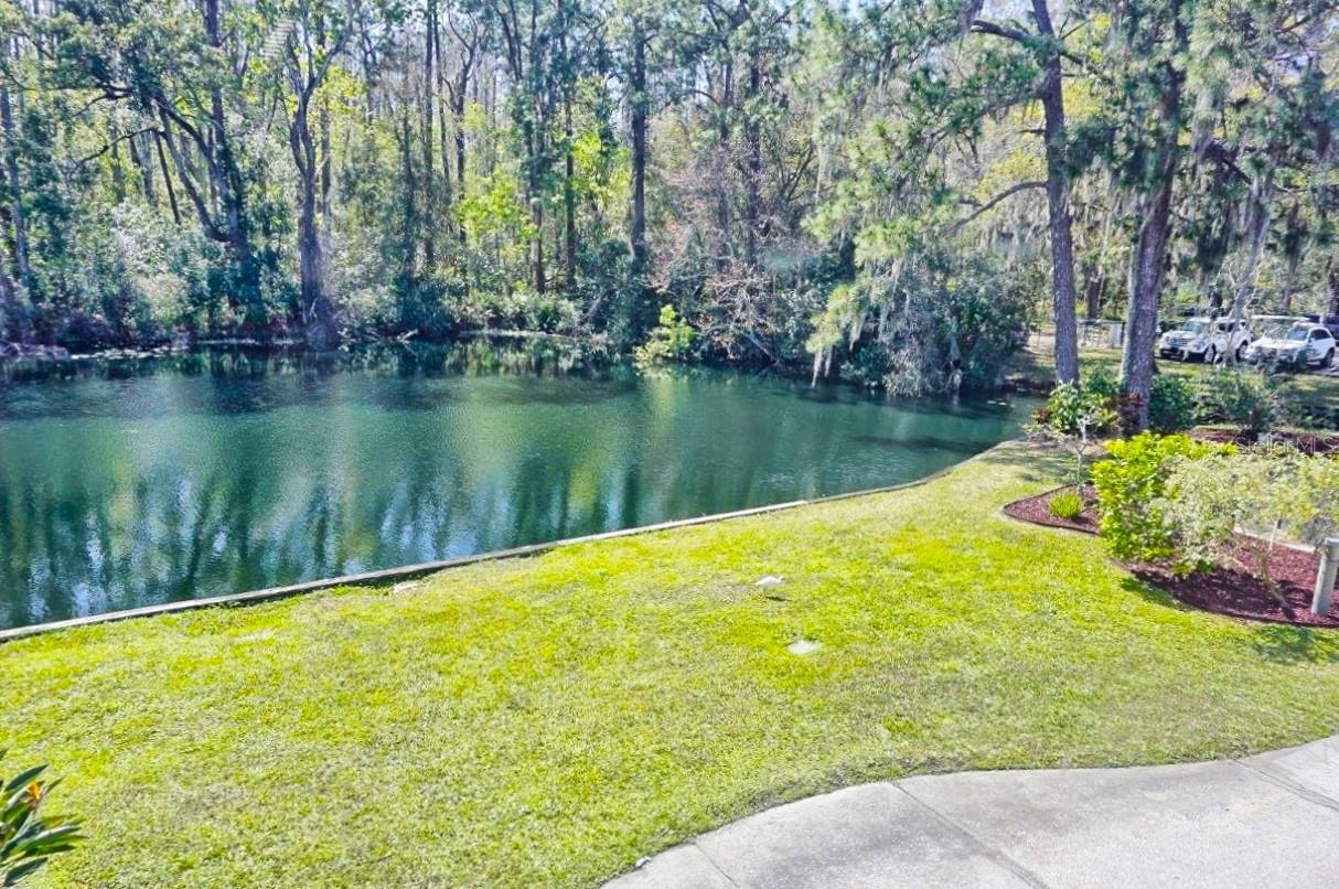 1873 MAZO MNR #5, LUTZ, FL, 33558
