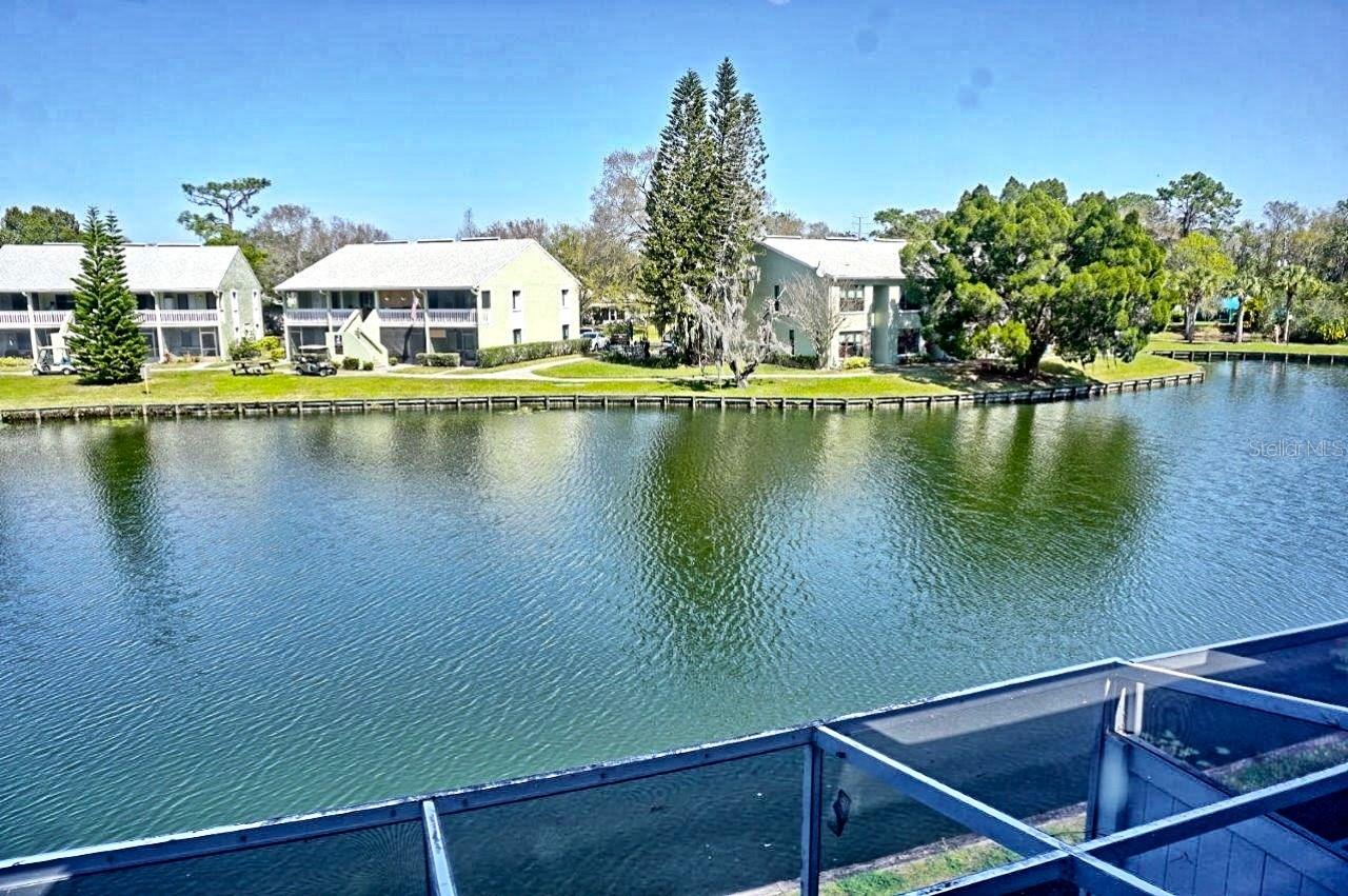 1873 MAZO MNR #5, LUTZ, FL, 33558