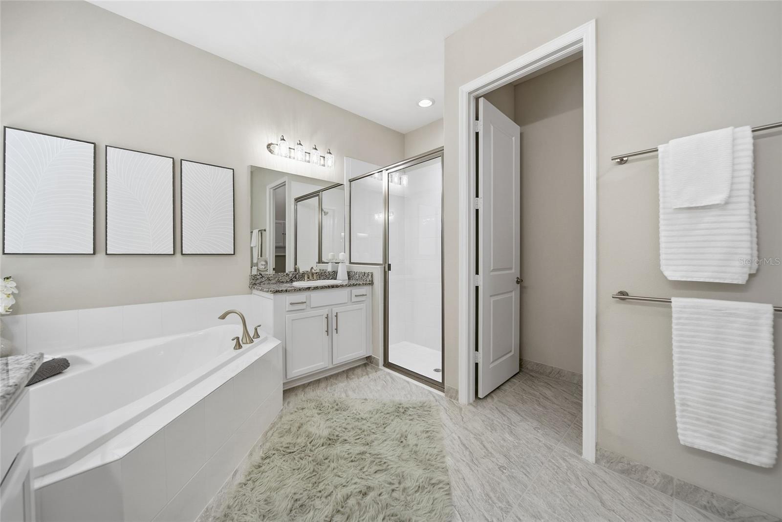 30423 TRISTANIA CT, WESLEY CHAPEL, FL, 33543