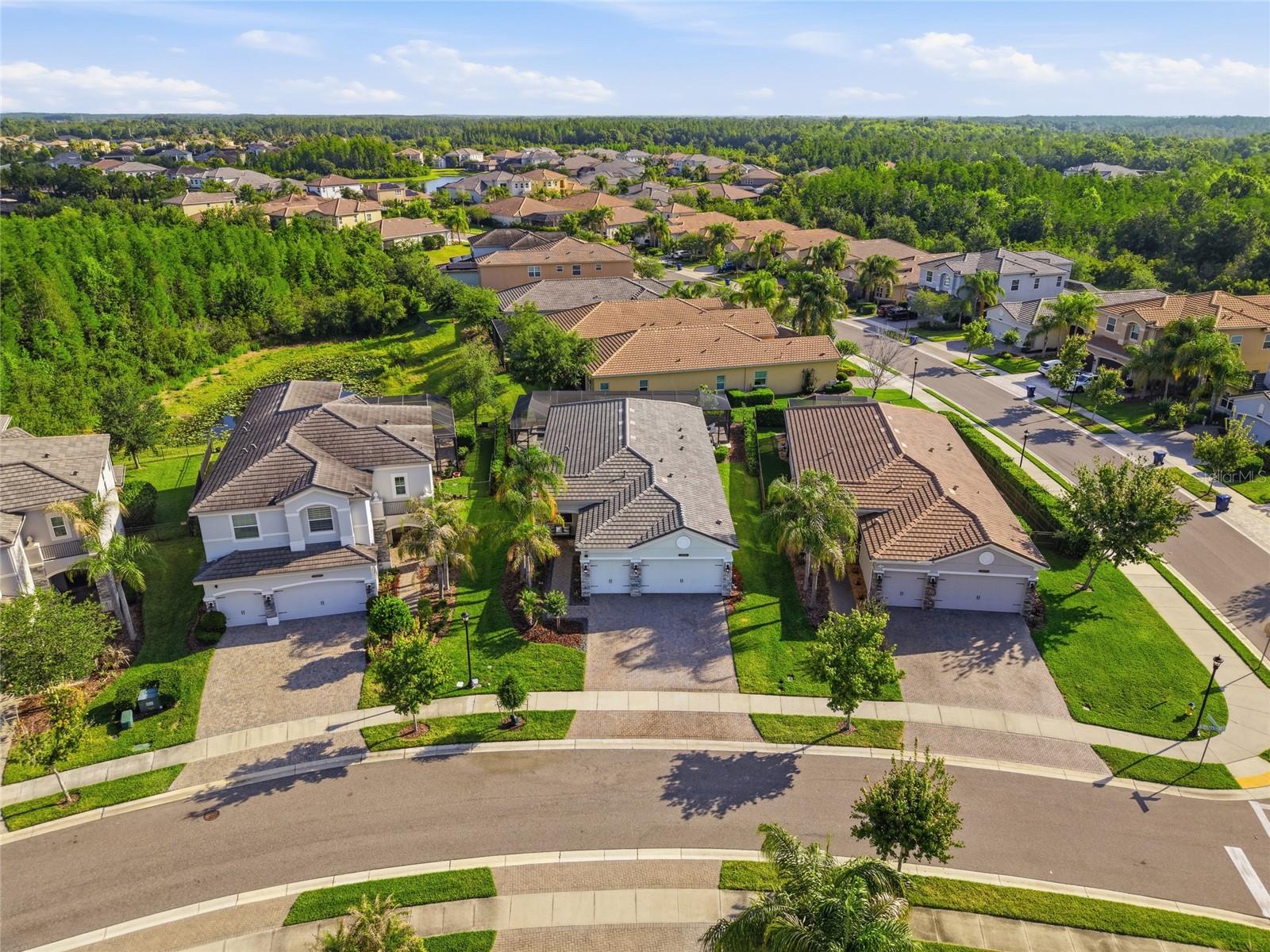 30423 TRISTANIA CT, WESLEY CHAPEL, FL, 33543