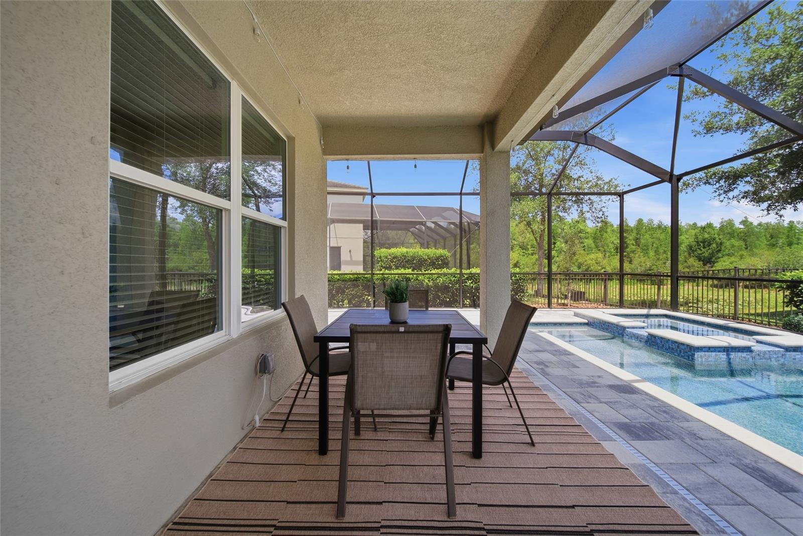 30423 TRISTANIA CT, WESLEY CHAPEL, FL, 33543