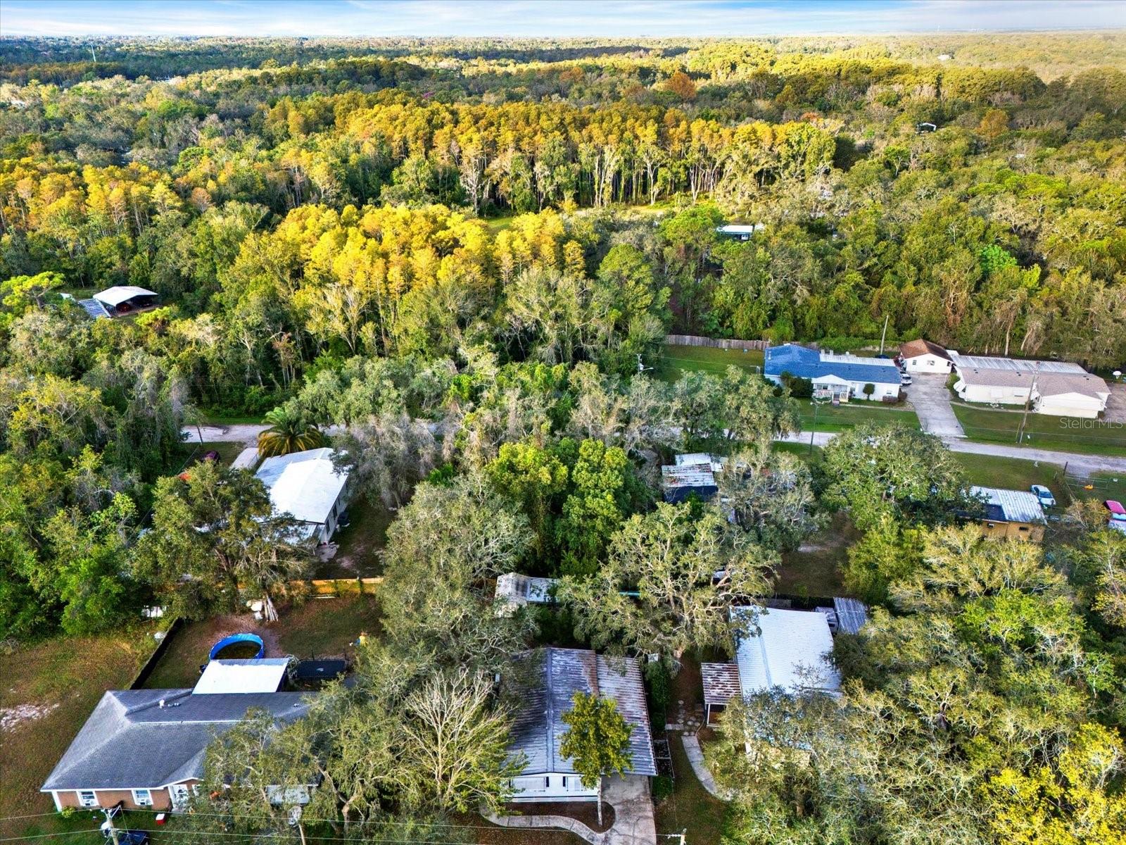 10051 HUNTLEY ST, NEW PORT RICHEY, FL, 34654