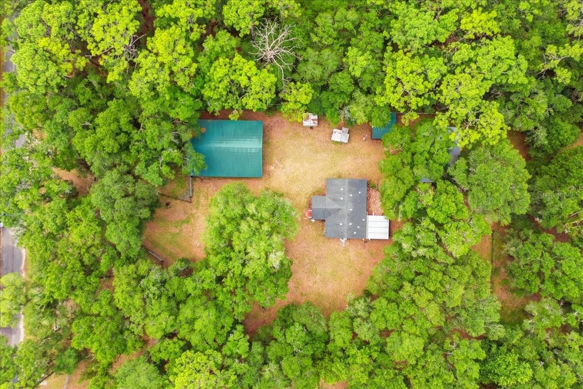 9986 S FORESTLINE AVE, INVERNESS, FL, 34452
