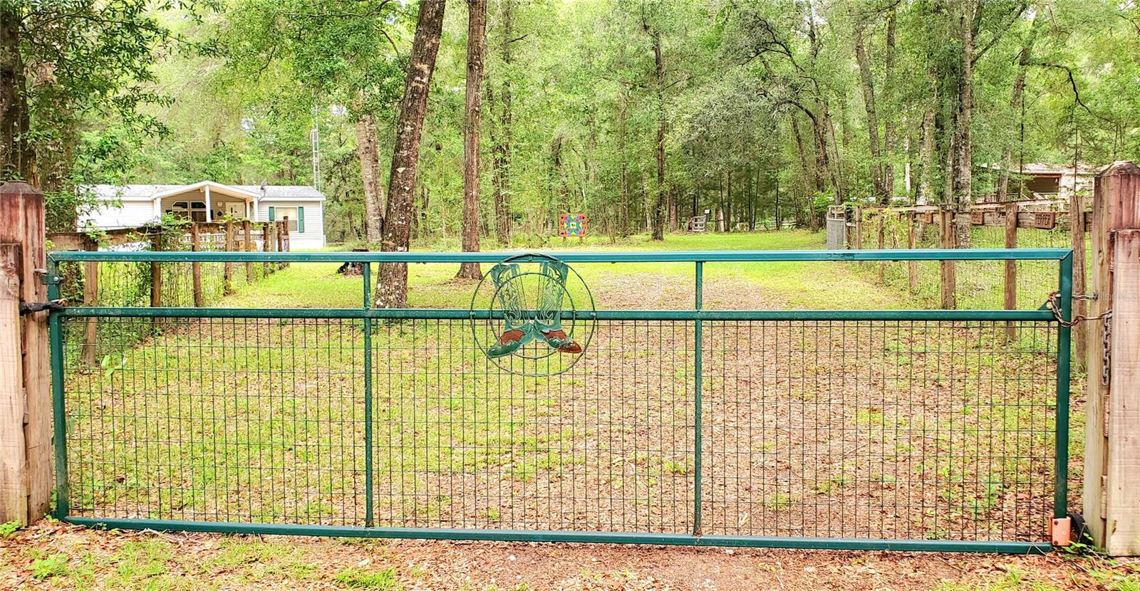 9986 S FORESTLINE AVE, INVERNESS, FL, 34452