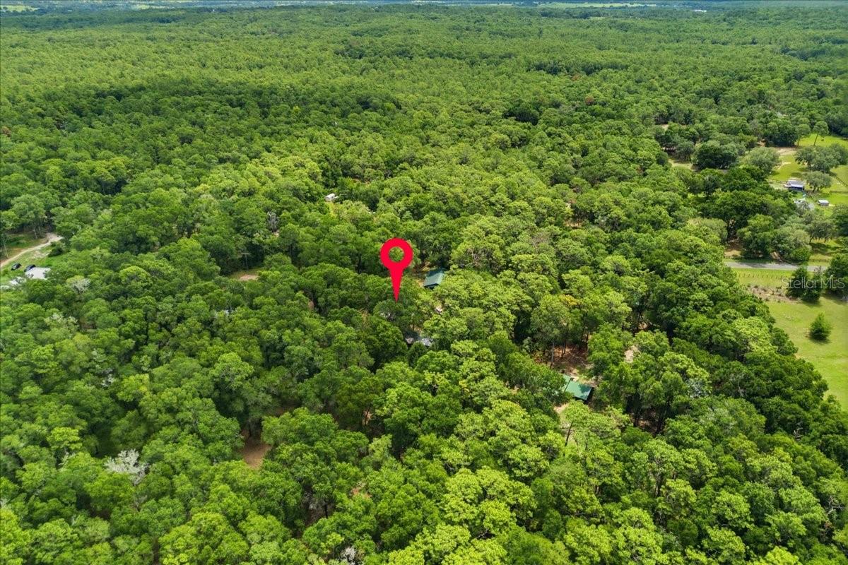 9986 S FORESTLINE AVE, INVERNESS, FL, 34452