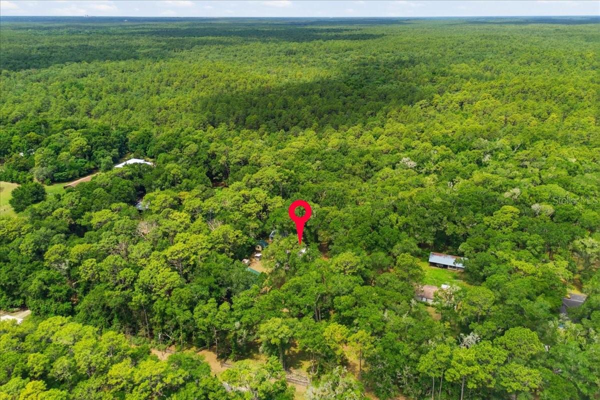 9986 S FORESTLINE AVE, INVERNESS, FL, 34452