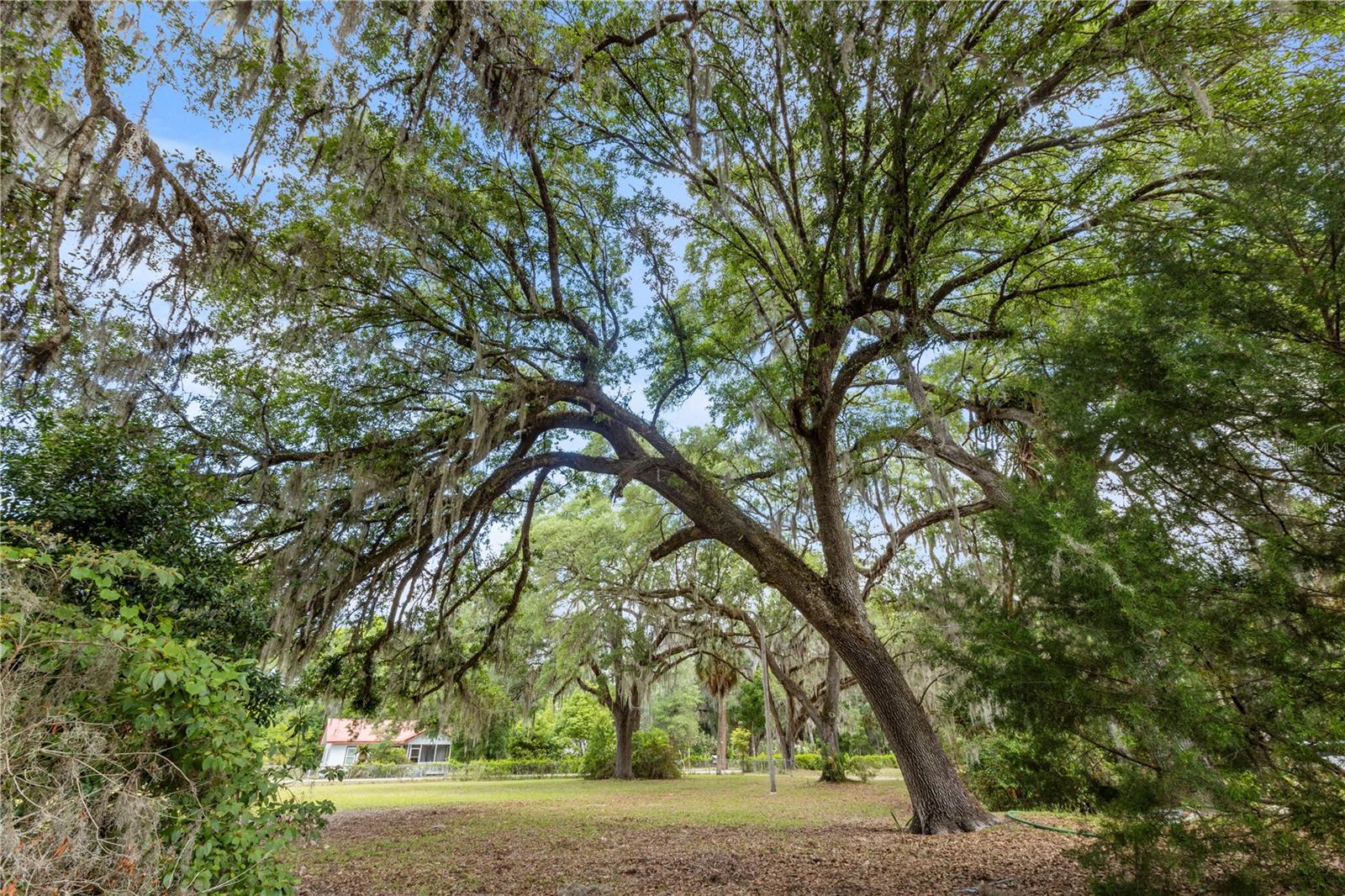 155 RODDY RD, PALATKA, FL, 32177