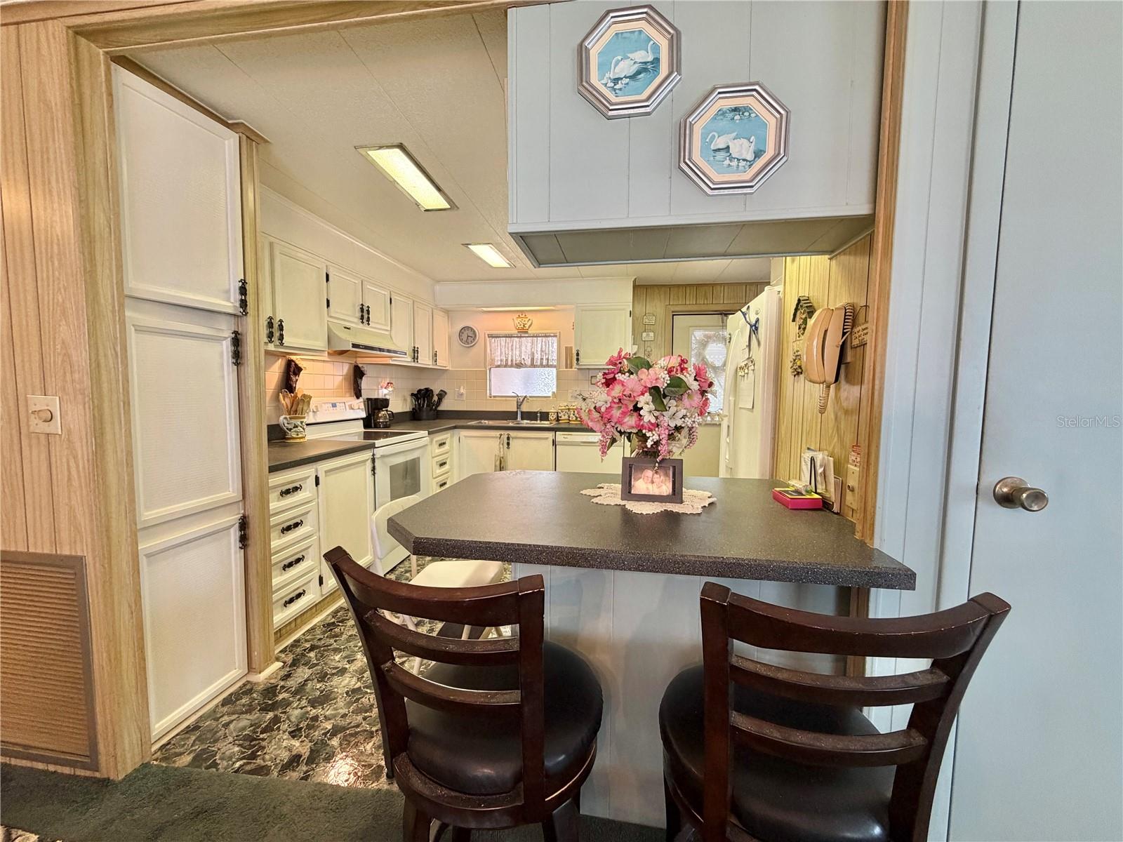 100 MARIGOLD ST, LEESBURG, FL, 34748