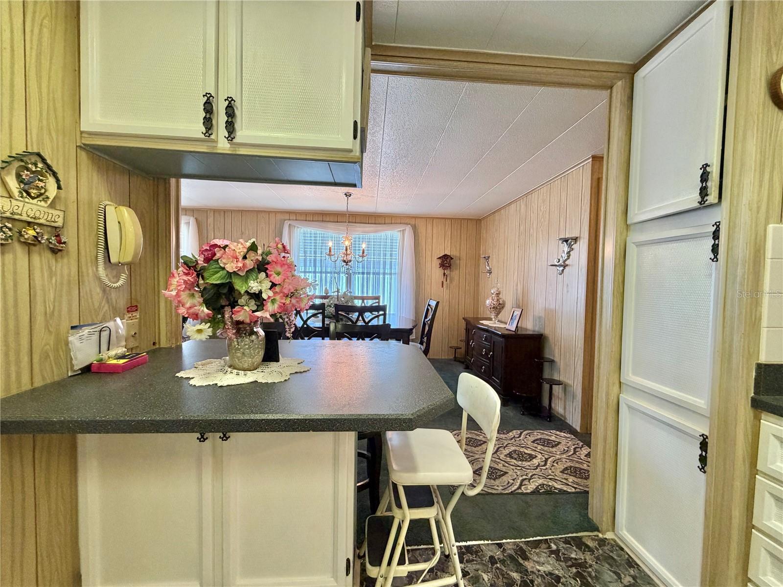 100 MARIGOLD ST, LEESBURG, FL, 34748