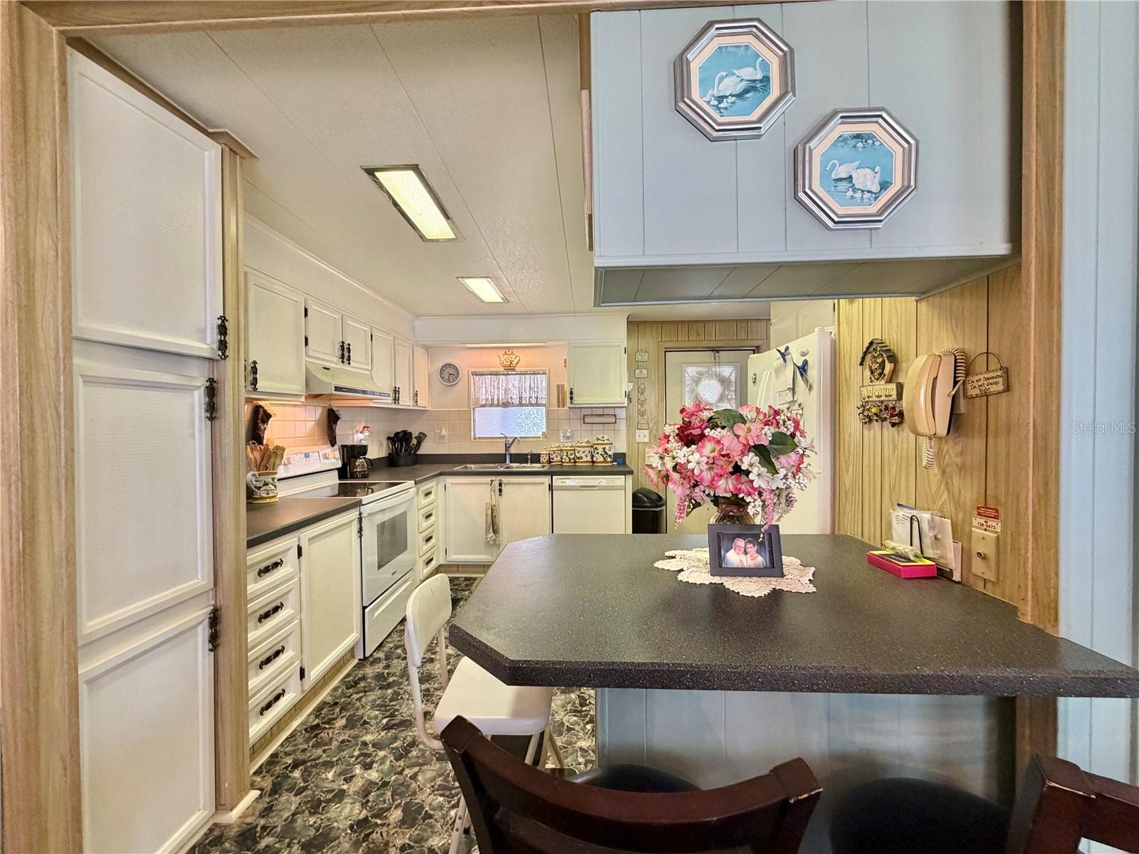 100 MARIGOLD ST, LEESBURG, FL, 34748