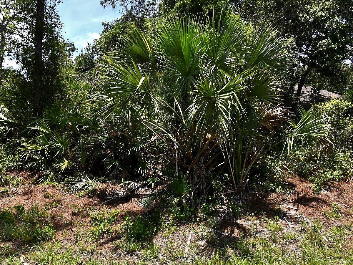 VAN ECK RD, NORTH PORT, FL, 34291