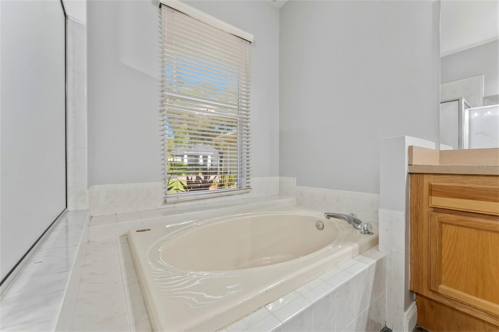 1115 LUMSDEN TRACE CIR, VALRICO, FL, 33594