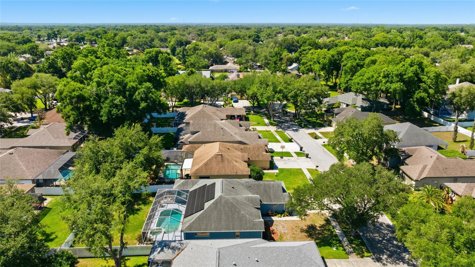 1115 LUMSDEN TRACE CIR, VALRICO, FL, 33594