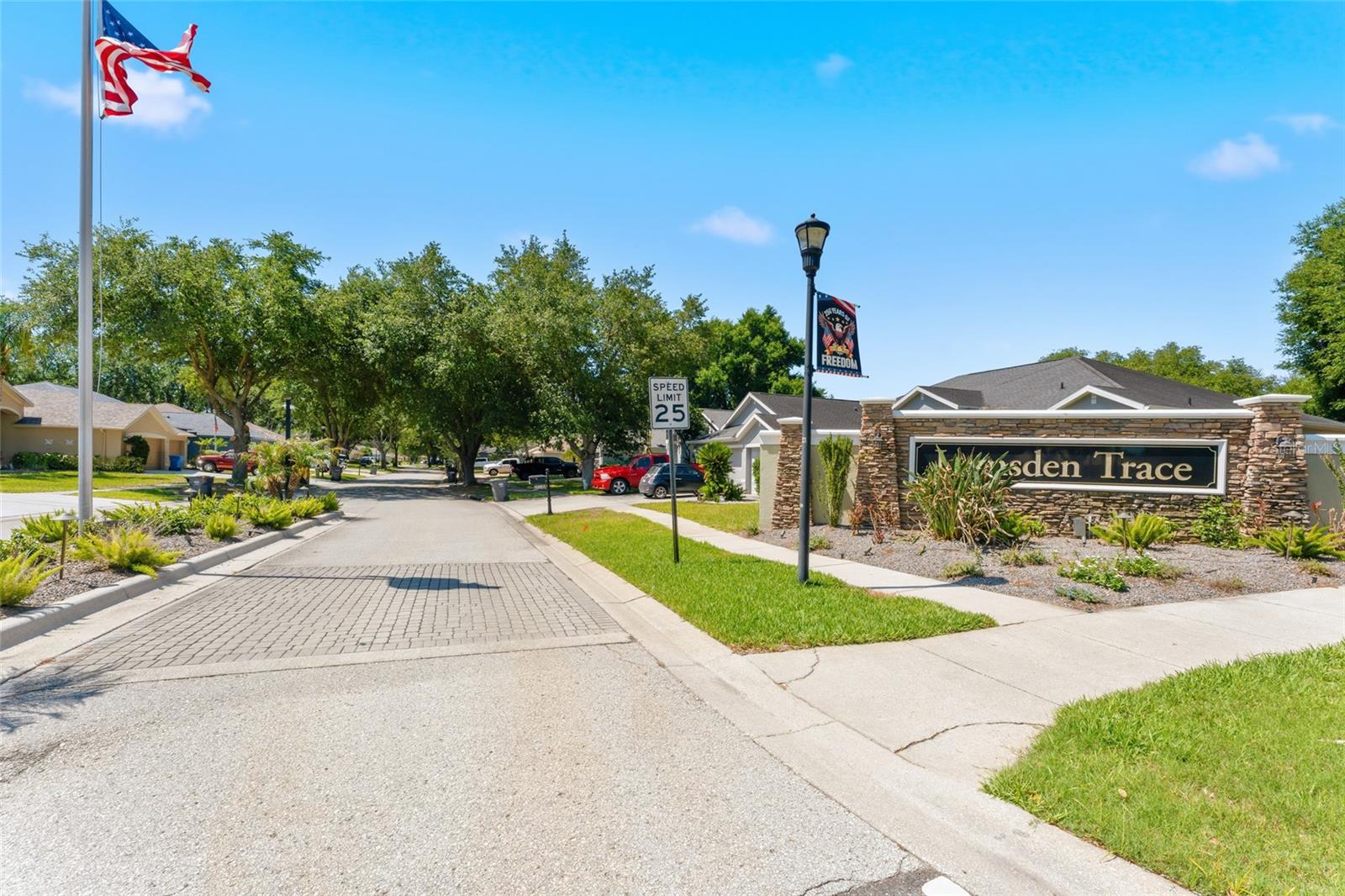 1115 LUMSDEN TRACE CIR, VALRICO, FL, 33594