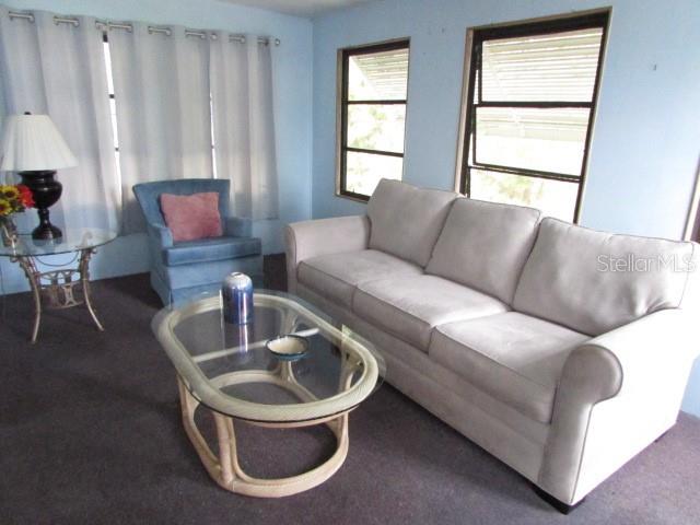 1014 DUSTIN DR, LADY LAKE, FL, 32159