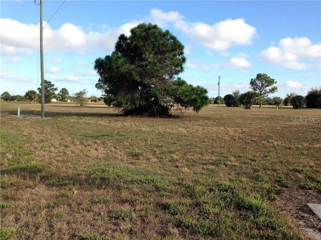 83 HARNESS RD, PLACIDA, FL, 33946