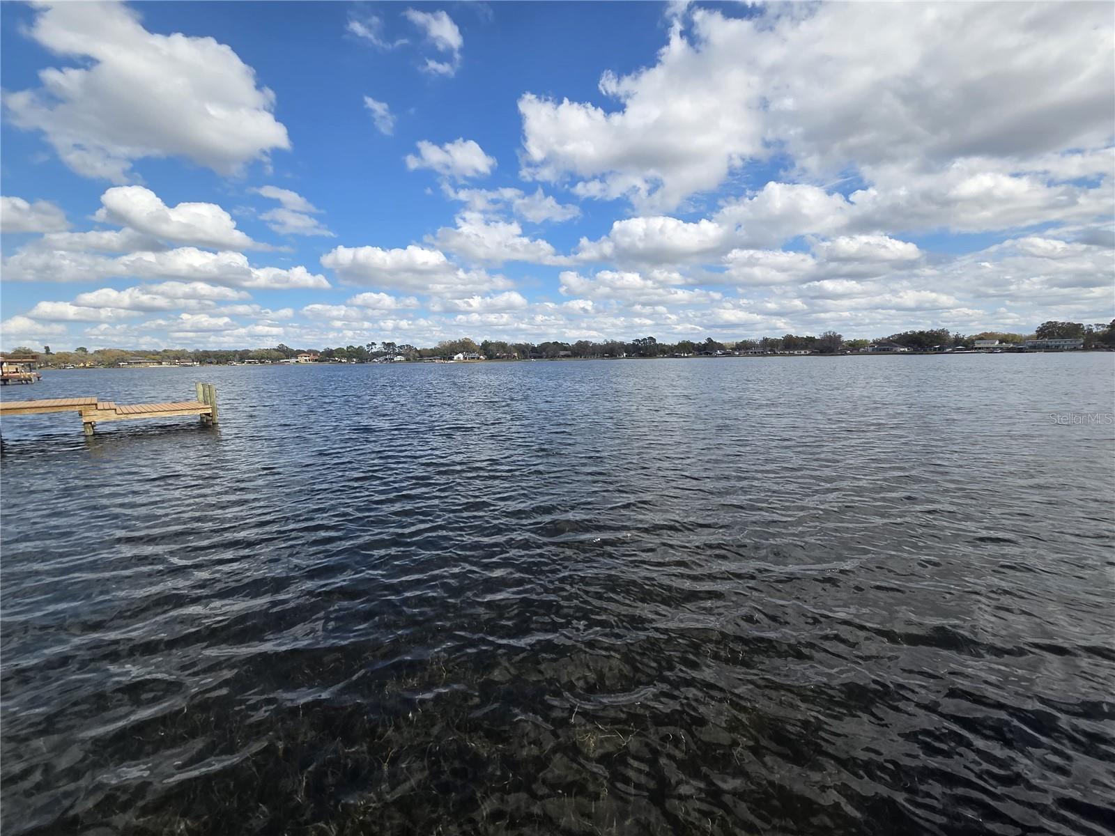 3626 SWANS LANDING DR, LAND O LAKES, FL, 34639