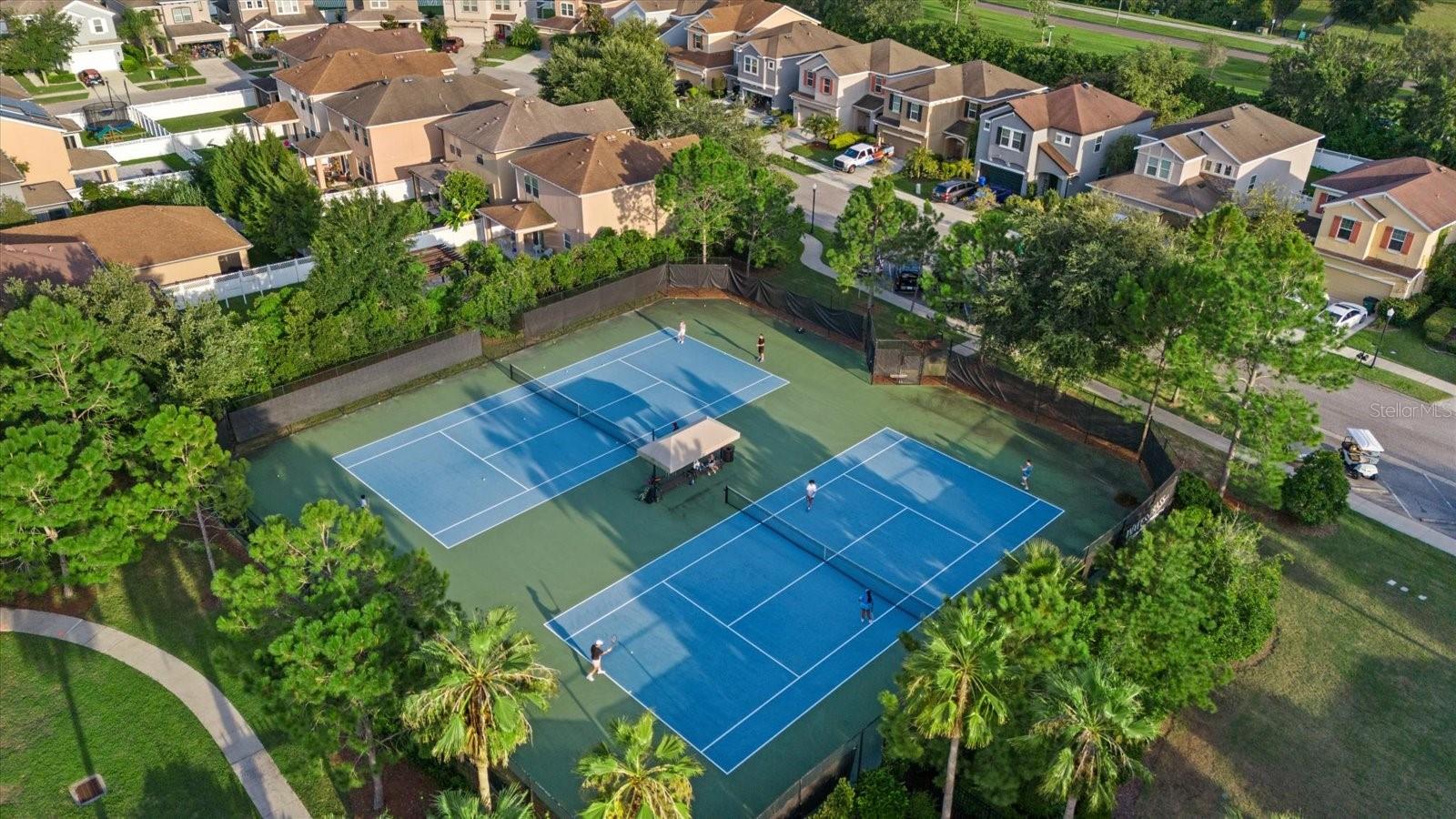 7224 GRAYBROOK DR, WESLEY CHAPEL, FL, 33545