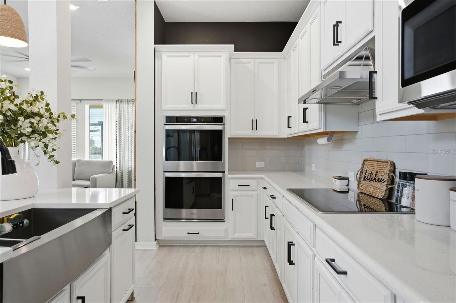 3567 FRONT PARK DR, WESLEY CHAPEL, FL, 33543