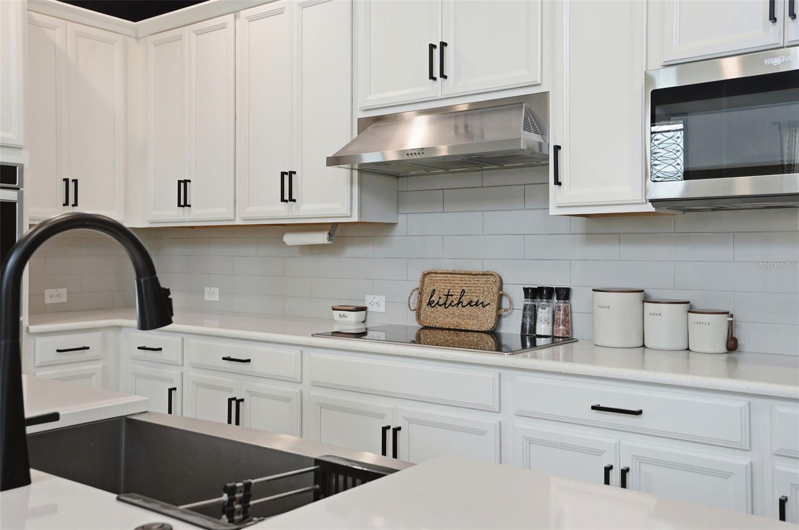 3567 FRONT PARK DR, WESLEY CHAPEL, FL, 33543