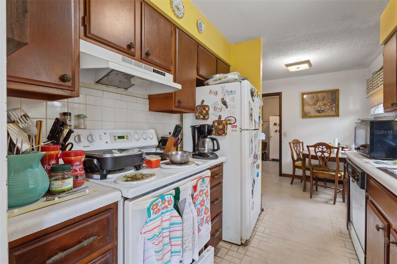 229 NW 93RD LN, BRANFORD, FL, 32008