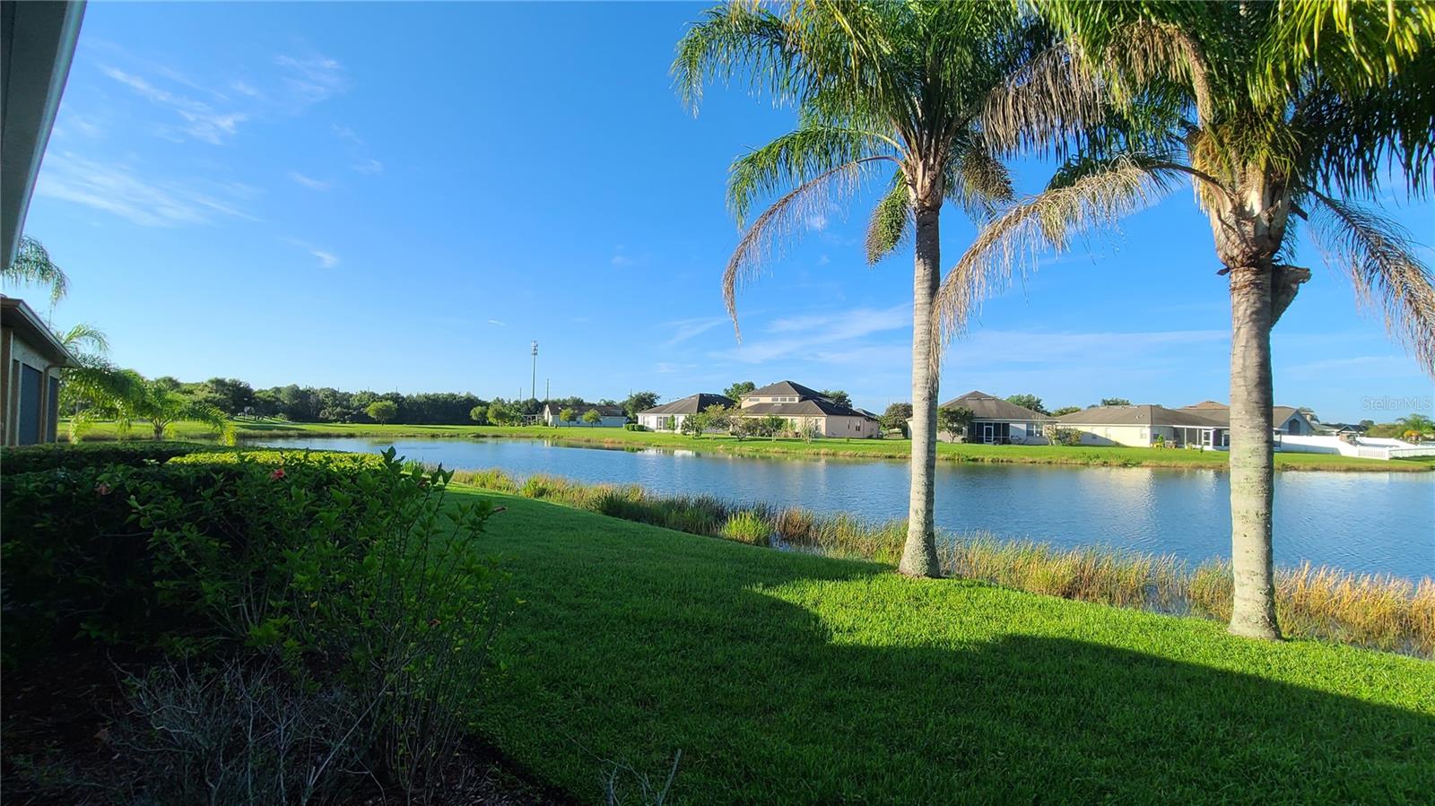 31422 BRIDGEGATE DR, WESLEY CHAPEL, FL, 33545