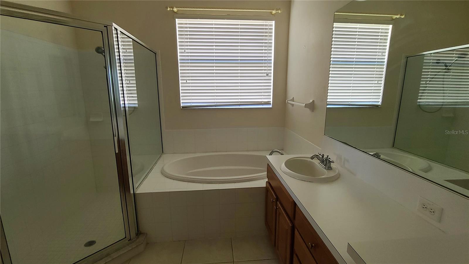 31422 BRIDGEGATE DR, WESLEY CHAPEL, FL, 33545