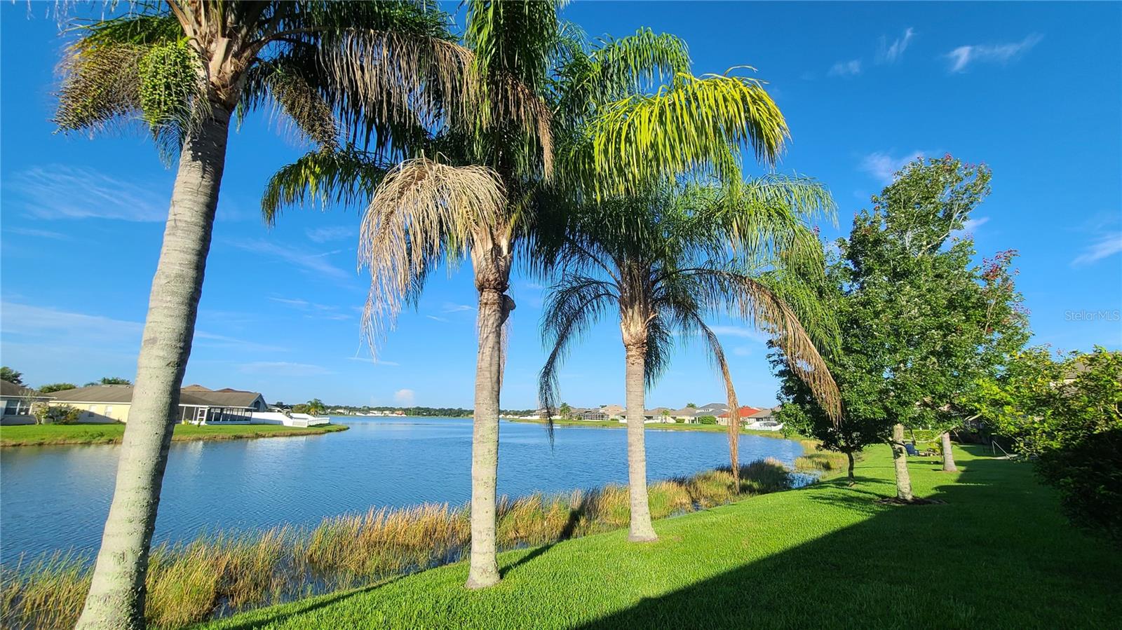 31422 BRIDGEGATE DR, WESLEY CHAPEL, FL, 33545