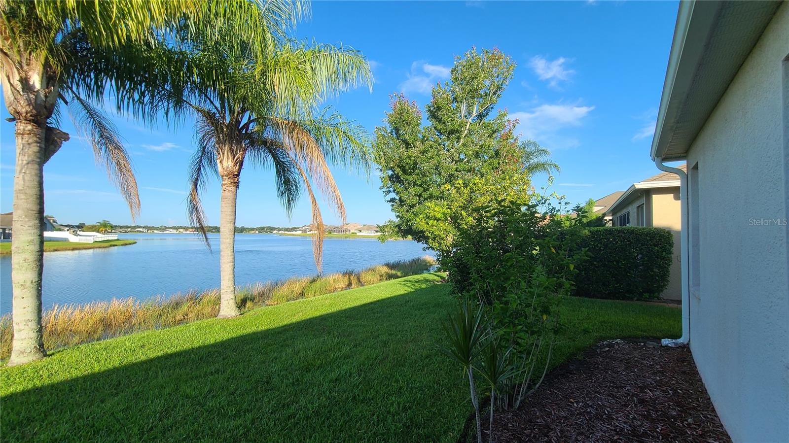 31422 BRIDGEGATE DR, WESLEY CHAPEL, FL, 33545