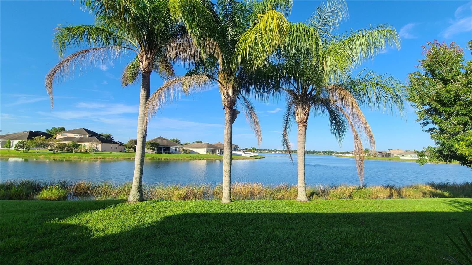 31422 BRIDGEGATE DR, WESLEY CHAPEL, FL, 33545