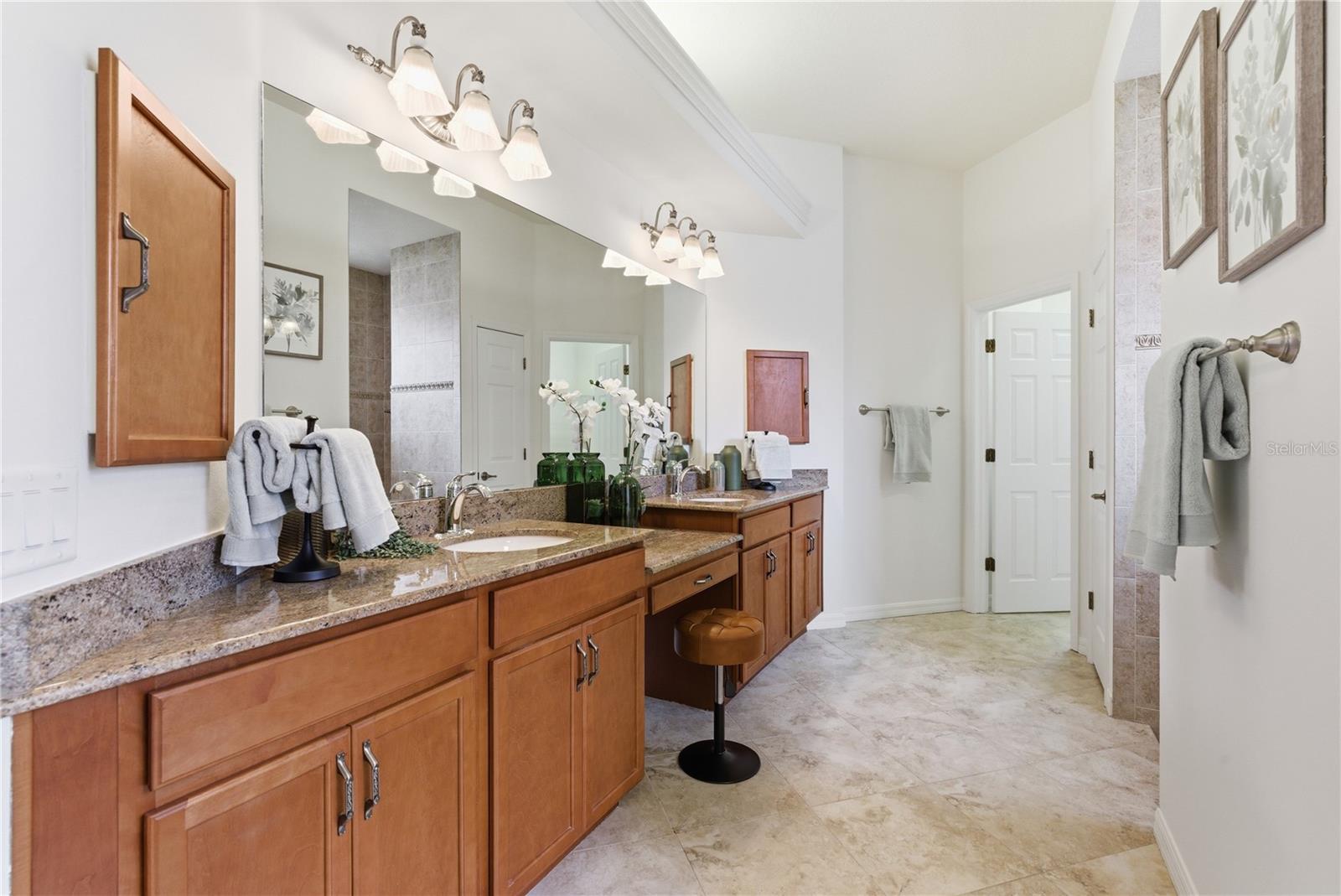 8747 BONICA PL, LAND O LAKES, FL, 34637