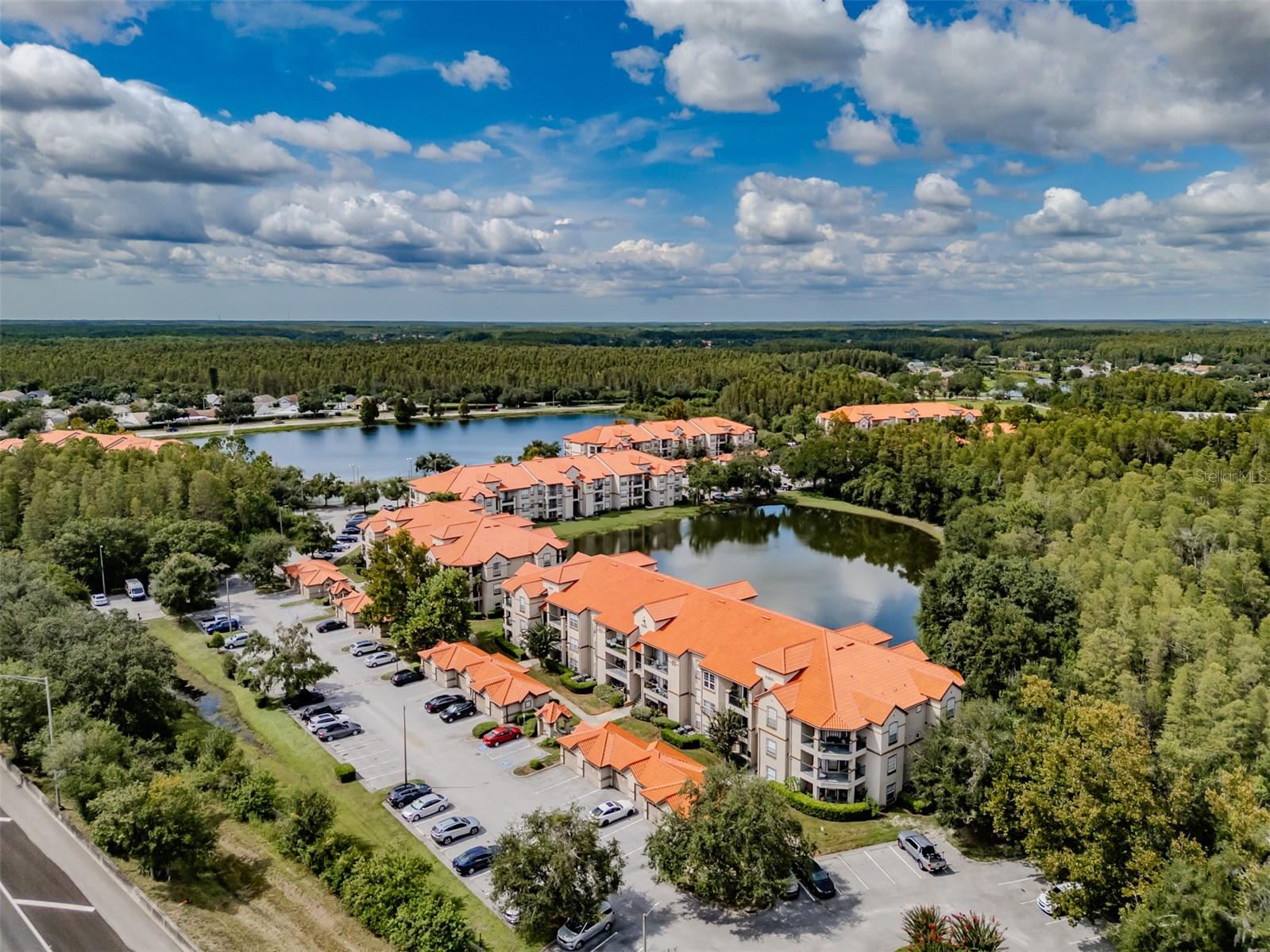 4201 WOODSTORKS WALK WAY #3302, LUTZ, FL, 33558