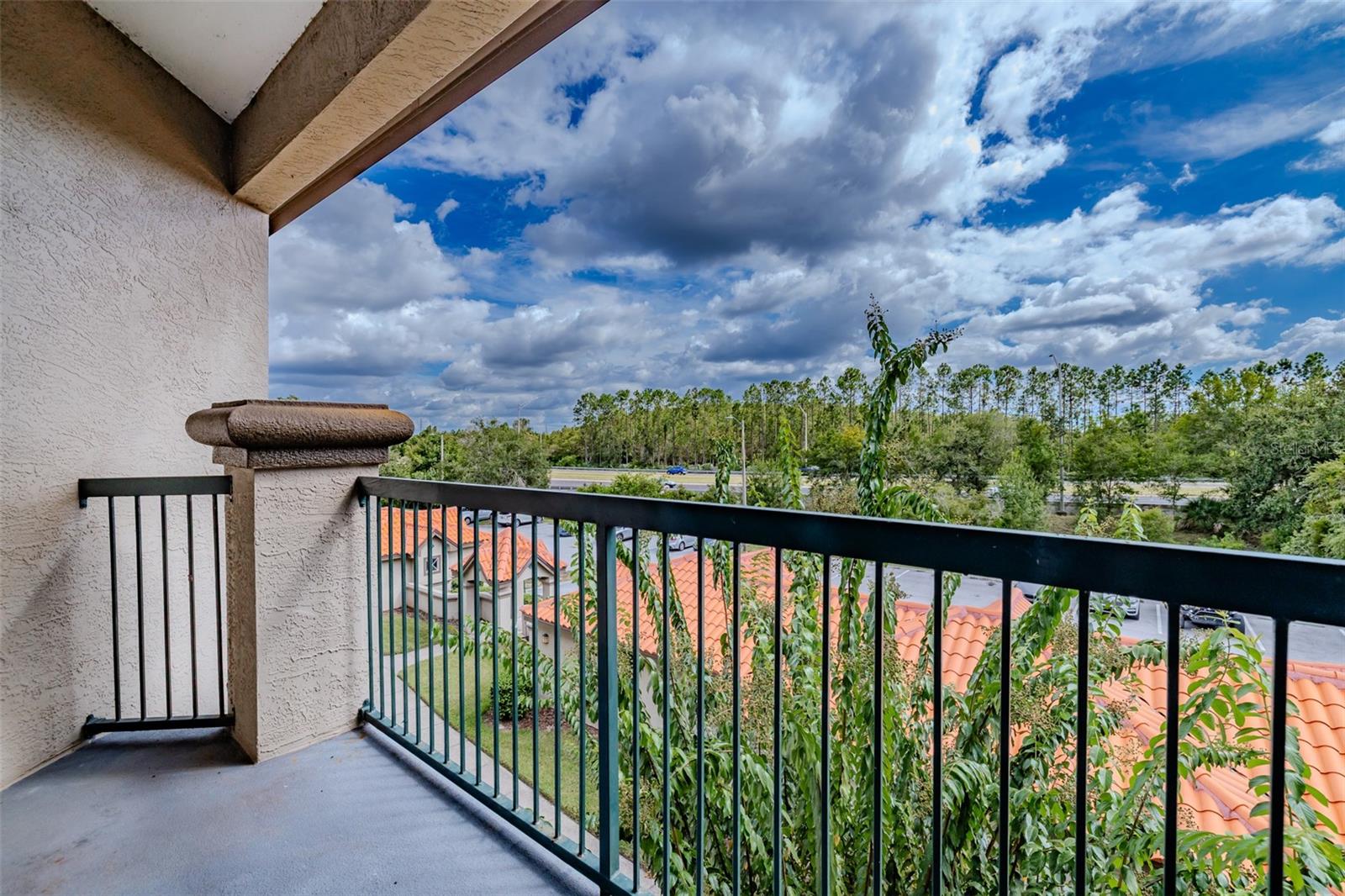 4201 WOODSTORKS WALK WAY #3302, LUTZ, FL, 33558