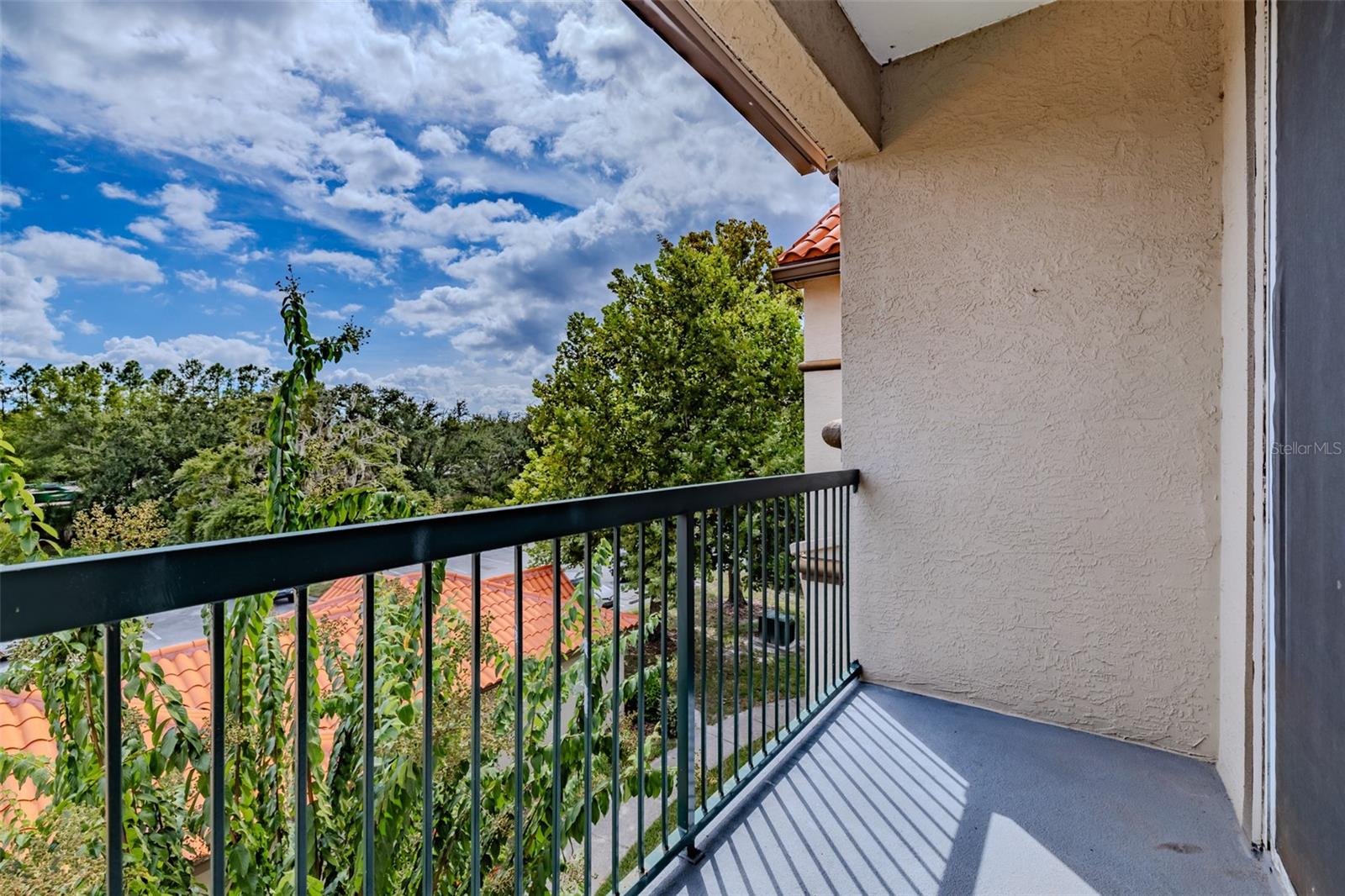 4201 WOODSTORKS WALK WAY #3302, LUTZ, FL, 33558