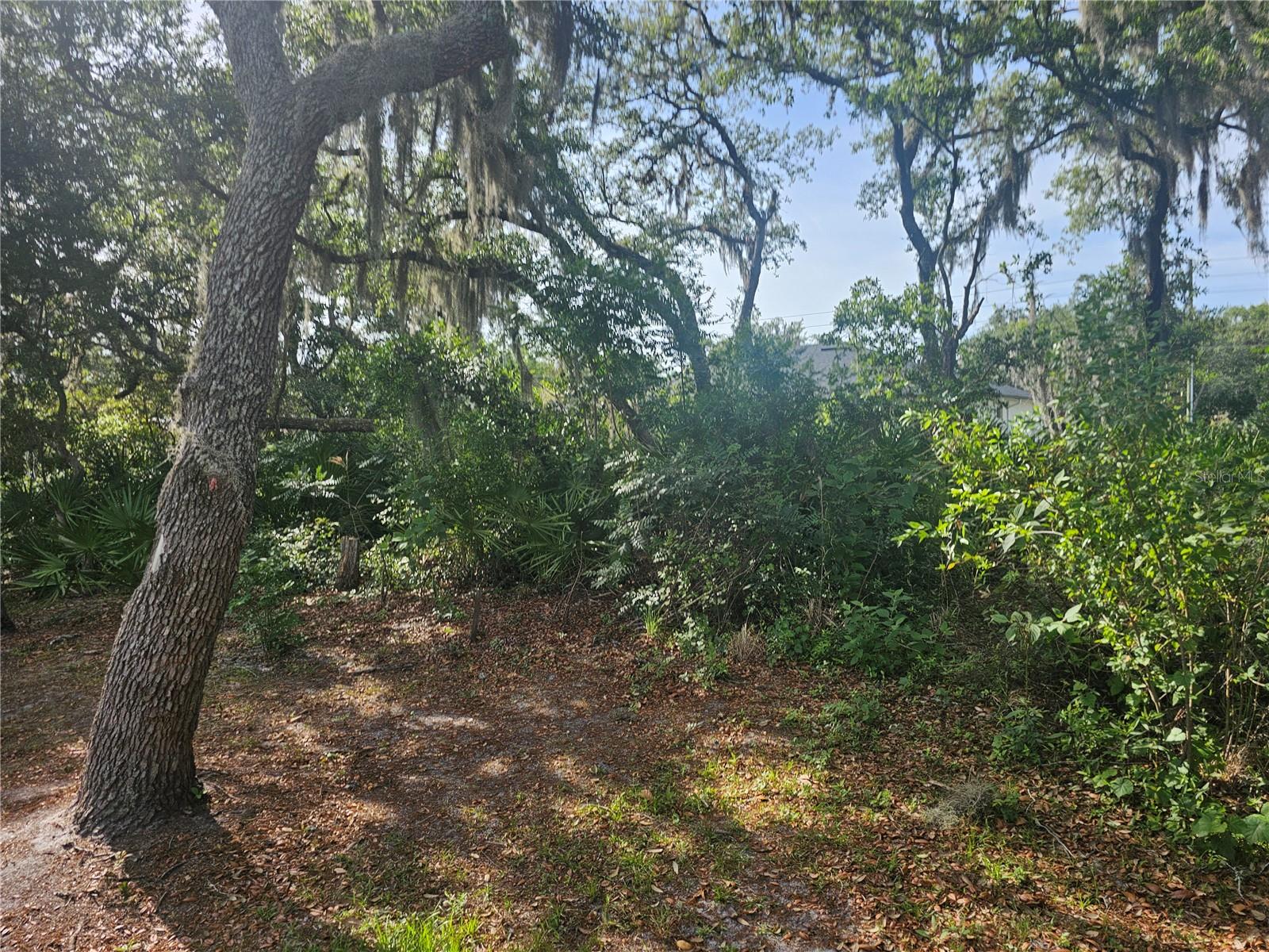 259 TOMS RD, DEBARY, FL, 32713