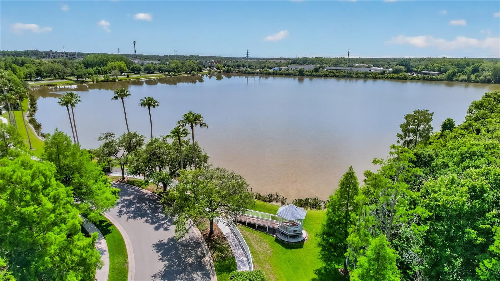 10801 SPRING MOUNTAIN PL, TAMPA, FL, 33626