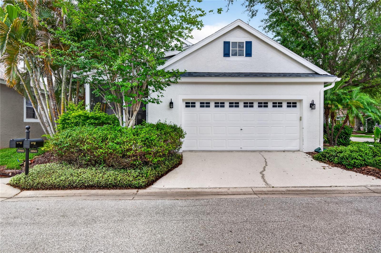 10801 SPRING MOUNTAIN PL, TAMPA, FL, 33626