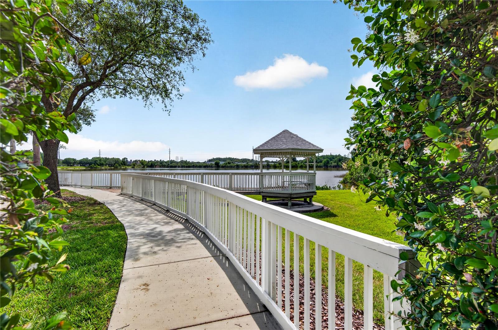10801 SPRING MOUNTAIN PL, TAMPA, FL, 33626