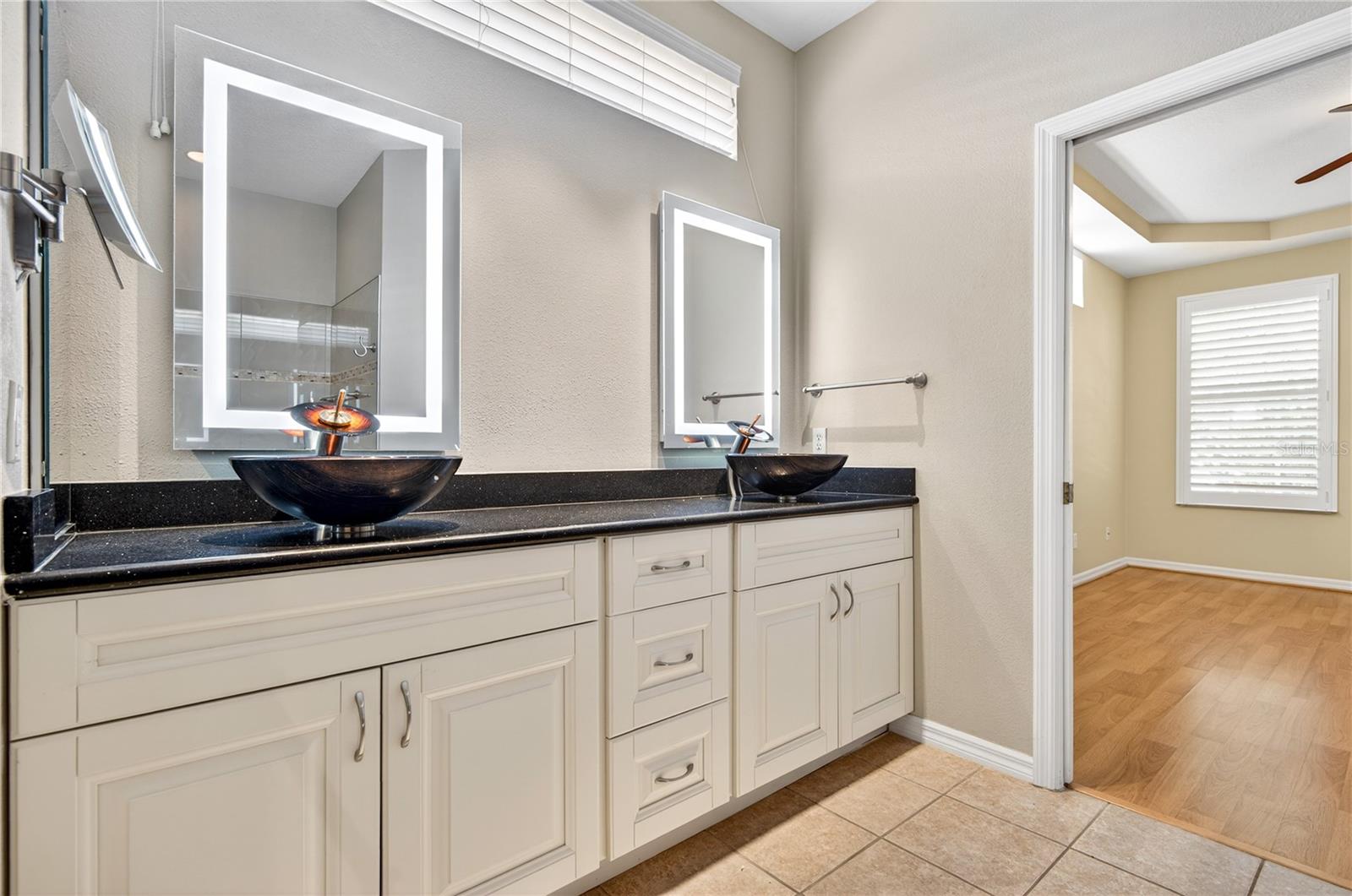 10801 SPRING MOUNTAIN PL, TAMPA, FL, 33626