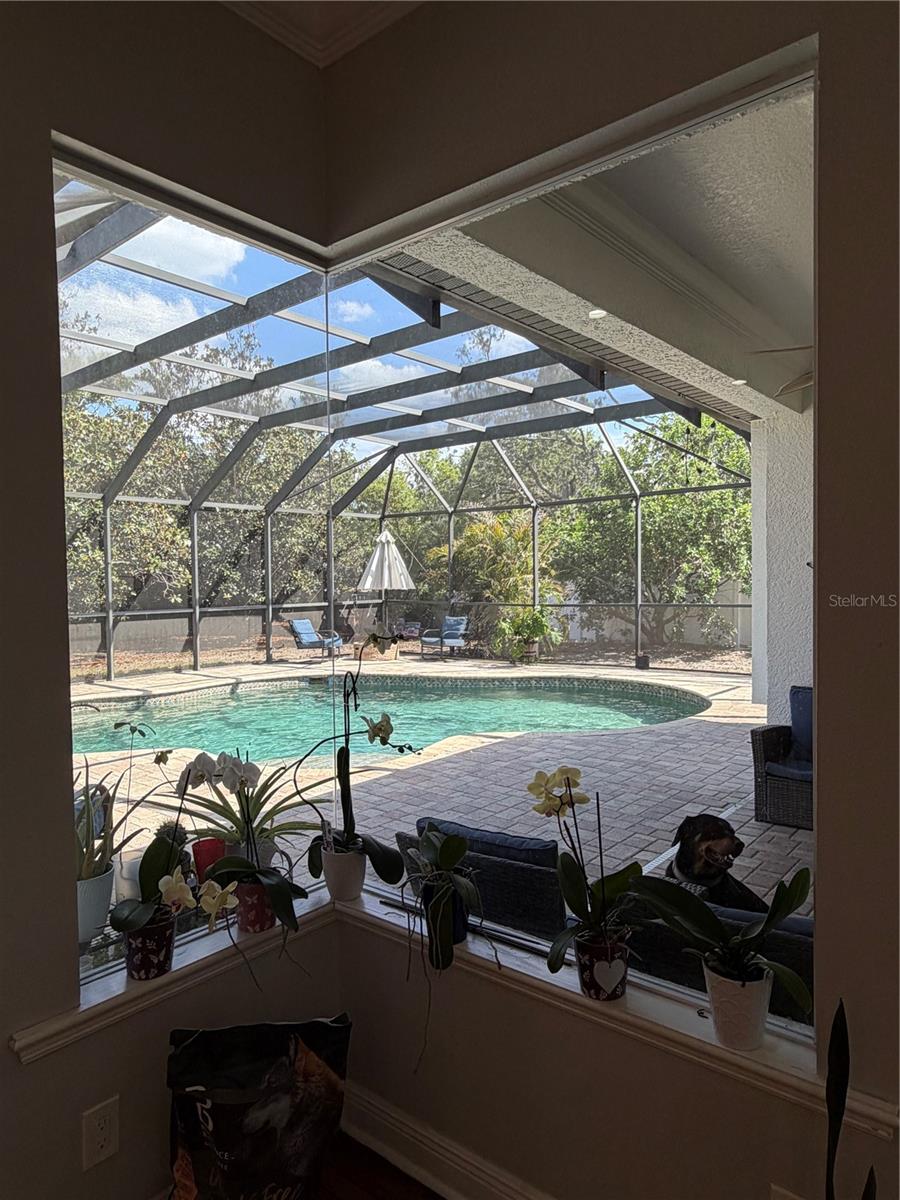 8137 GOLDEN BEAR LOOP, PORT RICHEY, FL, 34668