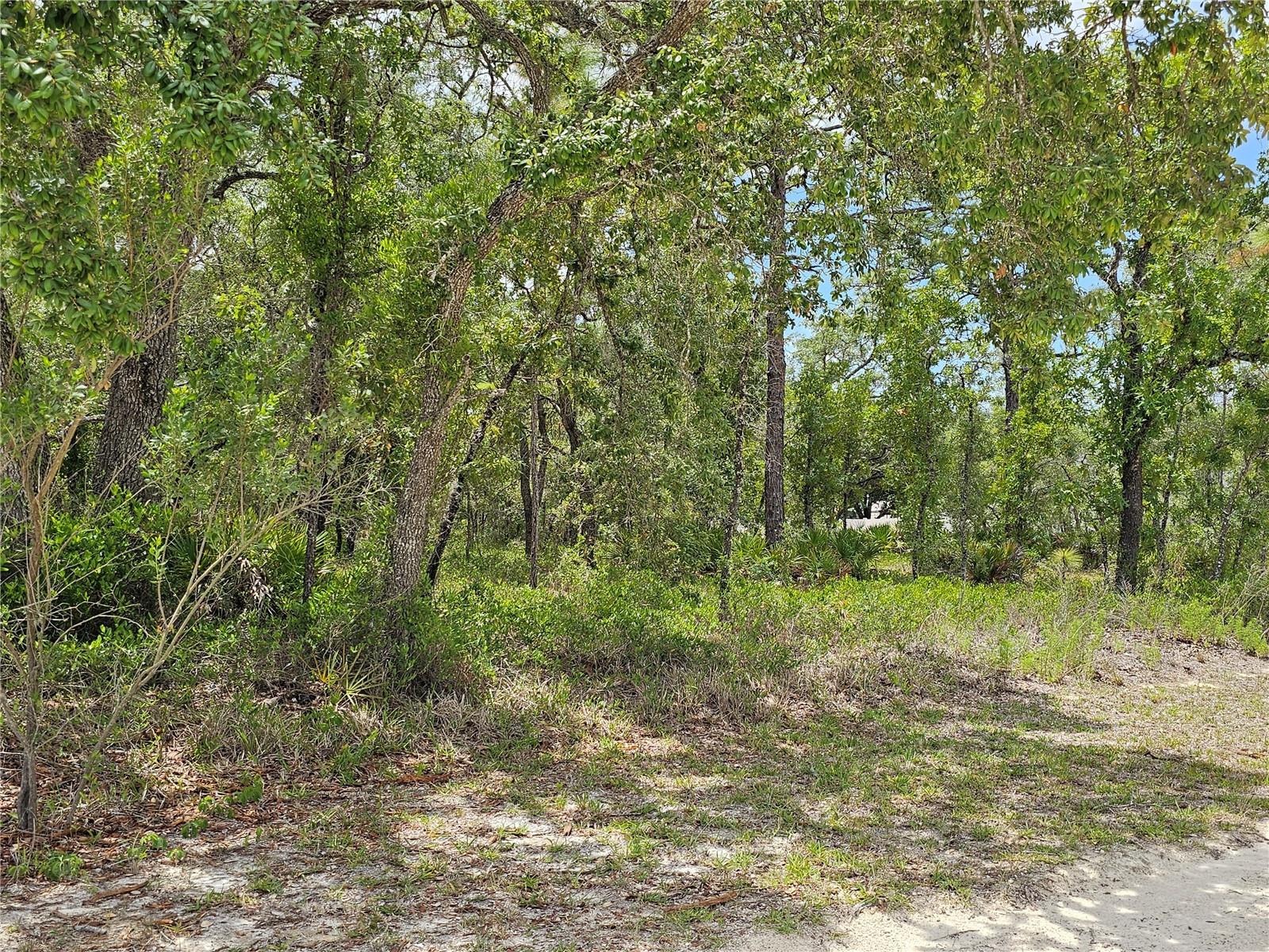 0 SONG SPARROW AVE, WEEKI WACHEE, FL, 34614