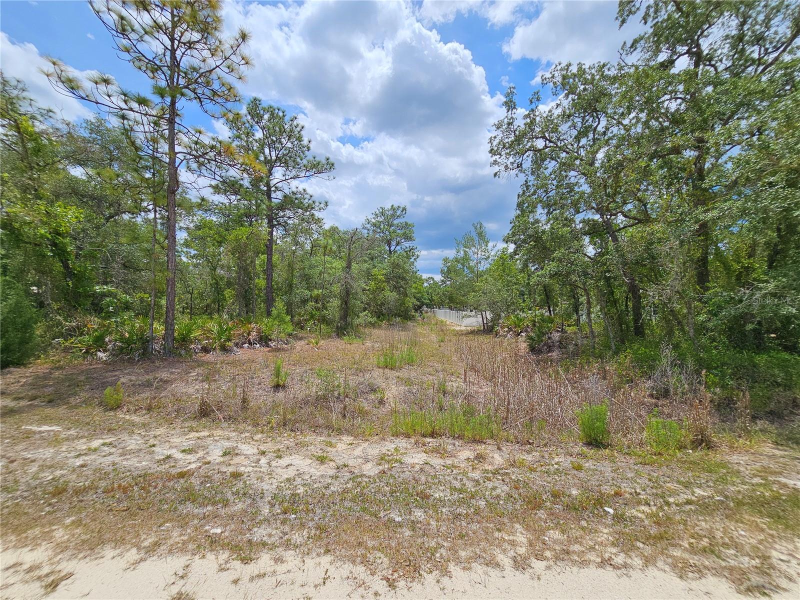 0 SONG SPARROW AVE, WEEKI WACHEE, FL, 34614
