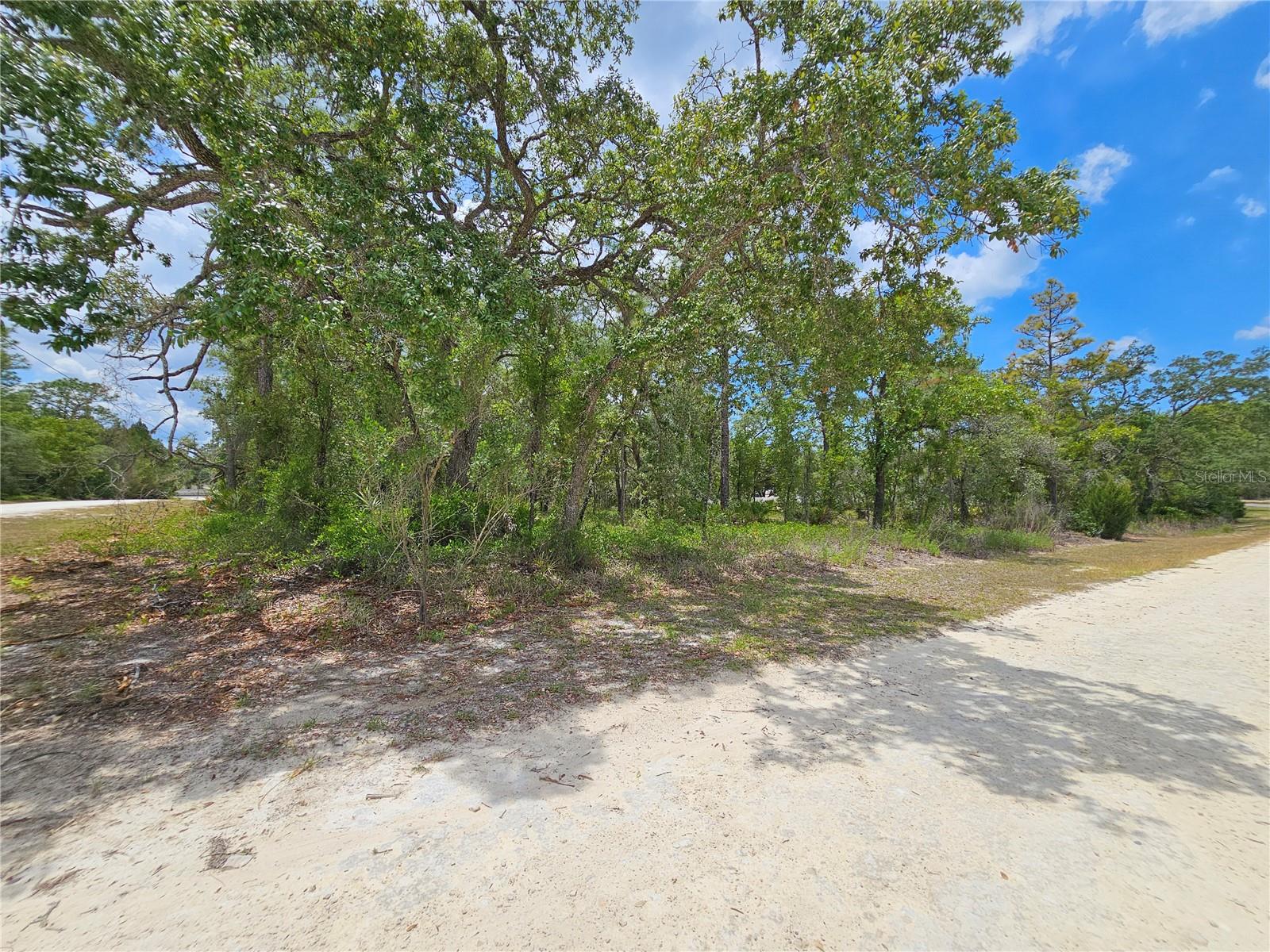 0 SONG SPARROW AVE, WEEKI WACHEE, FL, 34614
